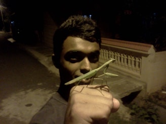 A person is holding a praying mantis on their hand in a dimly lit outdoor setting. The background includes a road and a fence, suggesting a residential area at night.