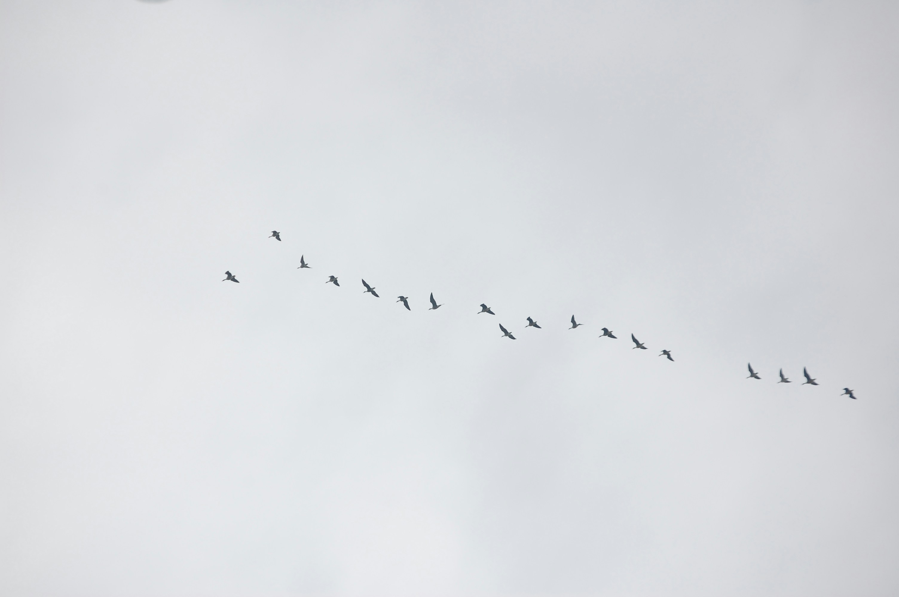 Free Unsplash photo from Robbie De Vries