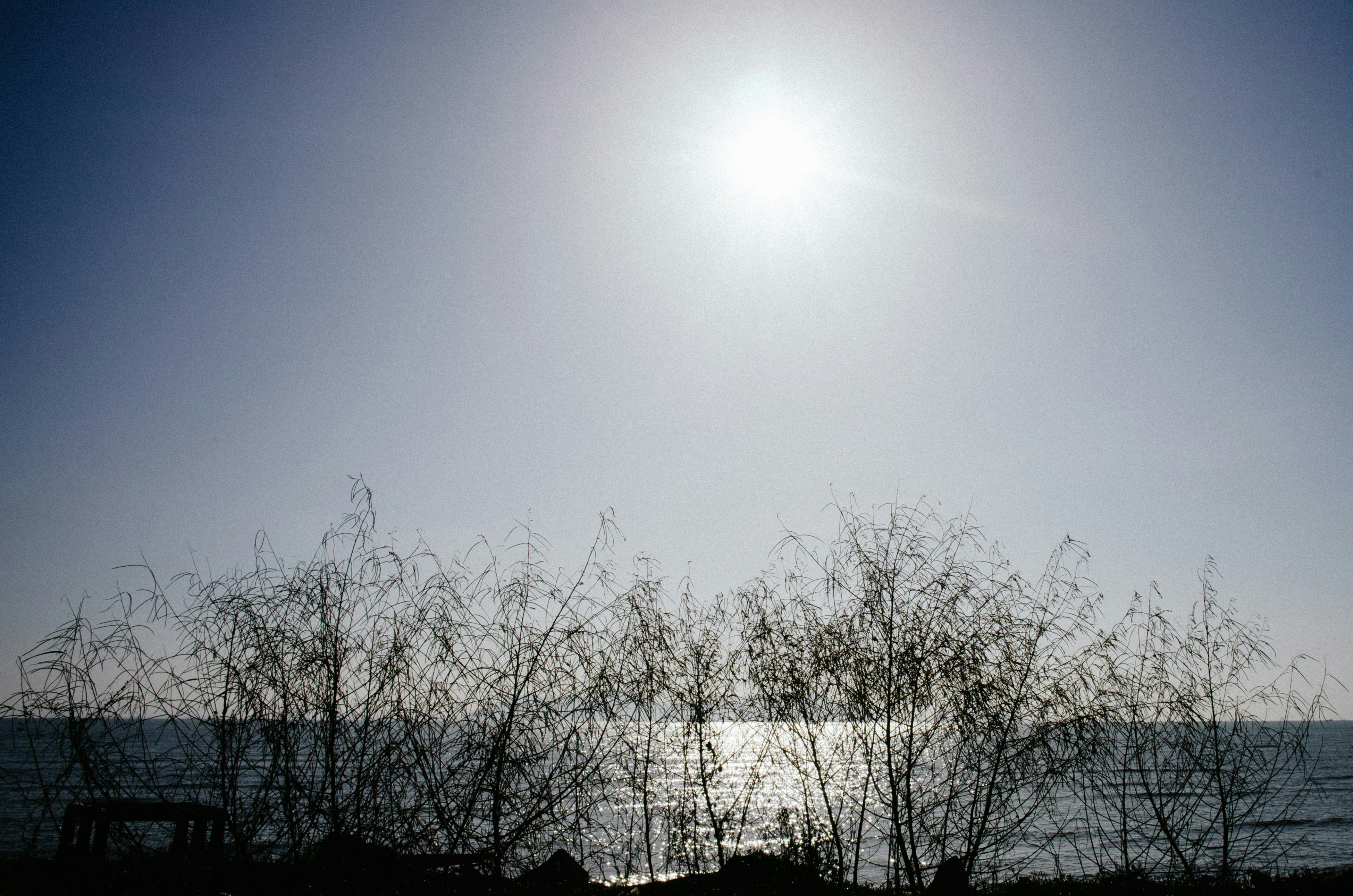 Free Unsplash photo from Bảo-Quân Nguyễn