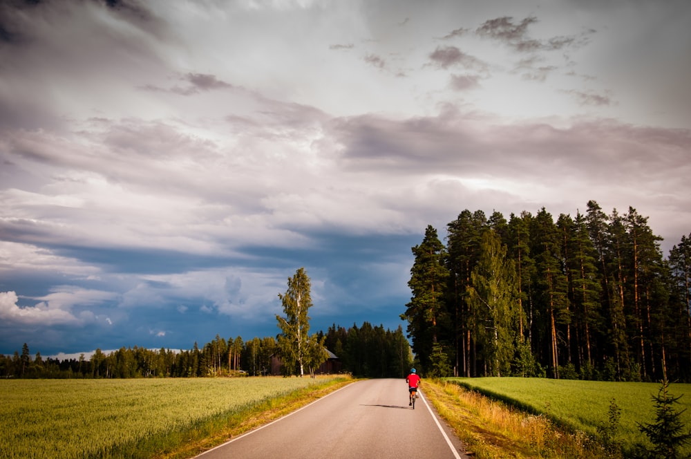 person walking on road near green trees