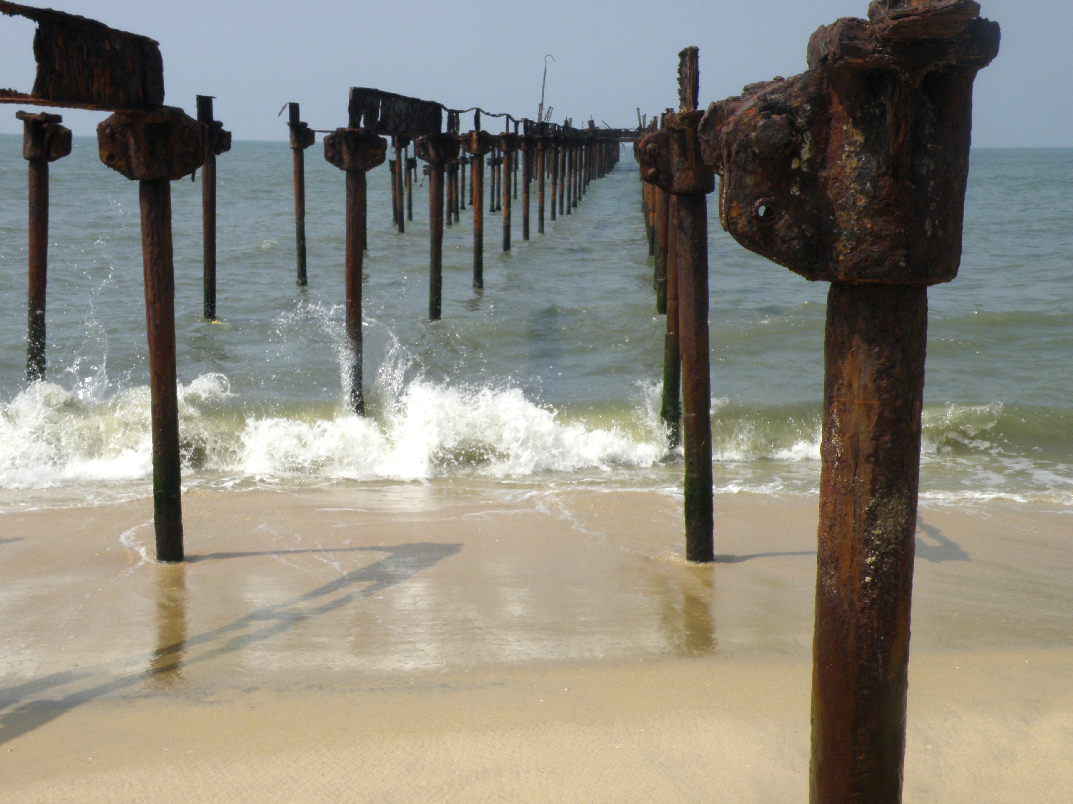 Free Unsplash photo from Sajan Mullappally