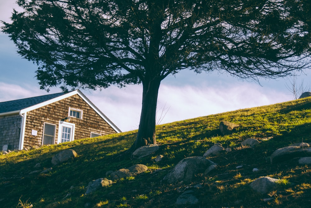 파란색과 흰색 하늘 아래 녹색 잎 나무 근처 갈색과 흰색 집
