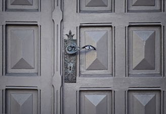 gray wooden closed door