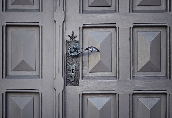 Close-up of modern wooden door with metal handle