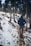 man wearing black hooded coat walking under trees with snow during winter