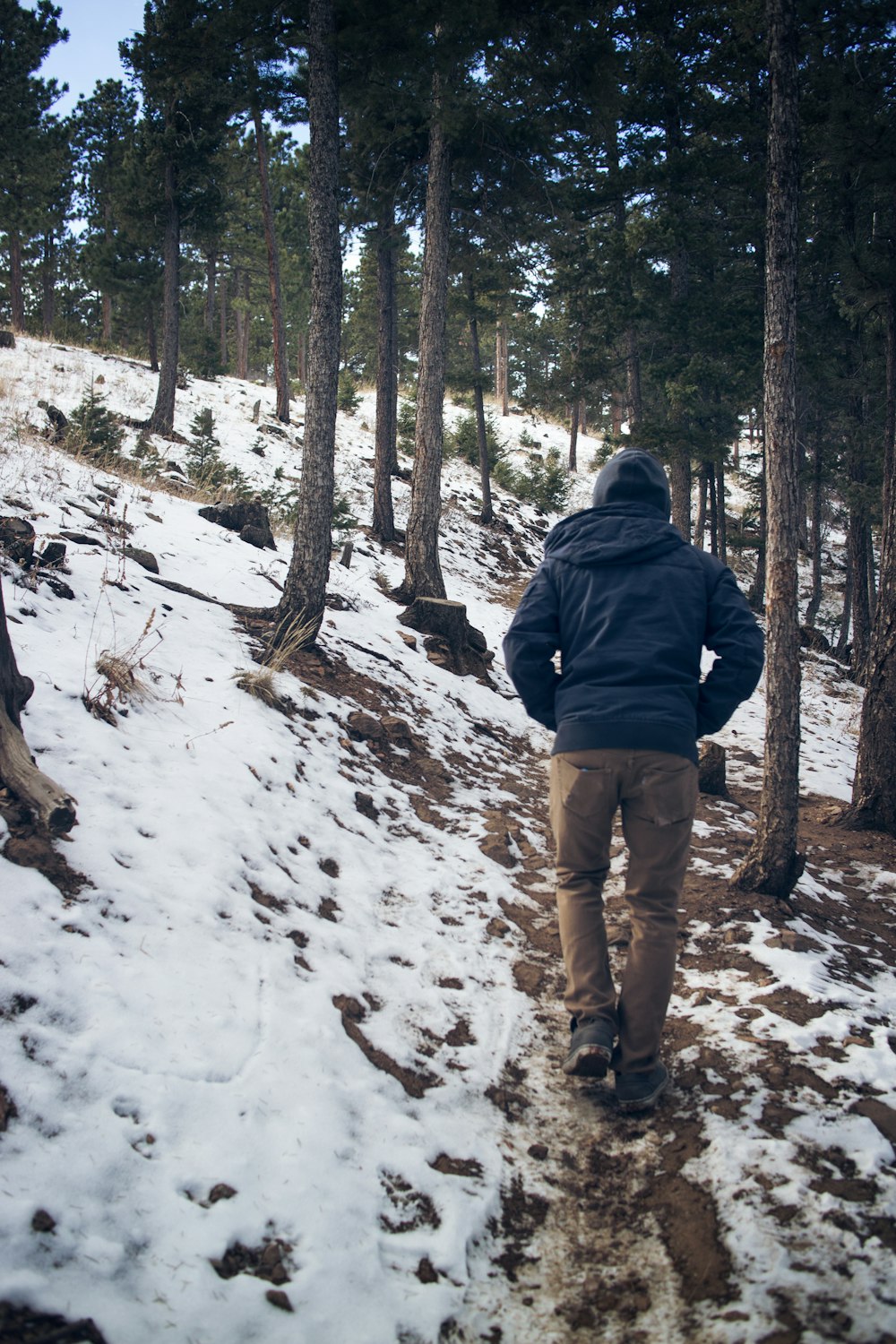 黒いフード付きコートを着た男性が、冬の雪の降る木々の下を歩く
