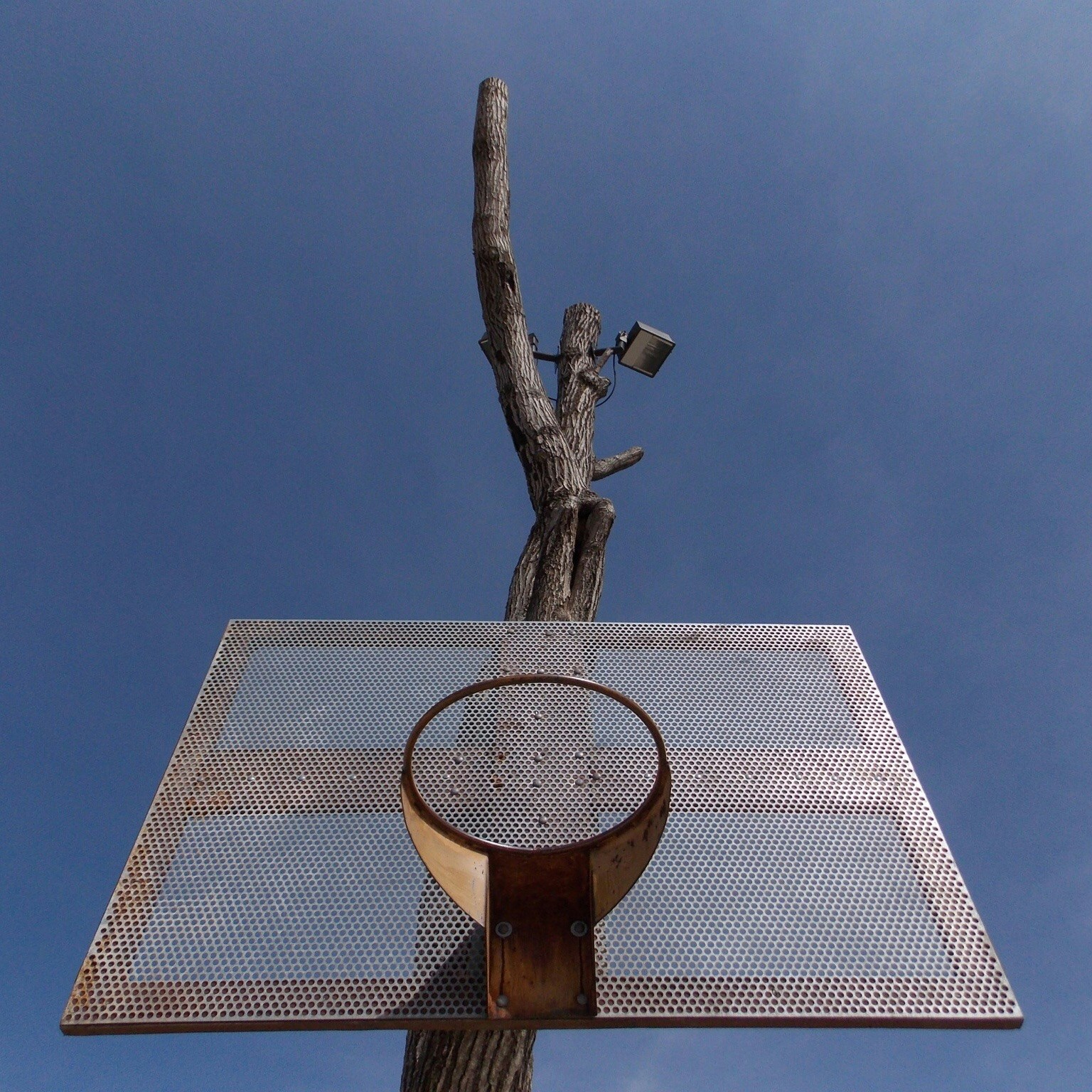 Free Unsplash photo from Humberto  Dominguez