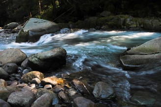 A flowing stream of clear water rushes over smooth, round rocks in a forested area. The water ripples and creates a dynamic pattern as it moves past the stones. Surrounding the stream, dense greenery and moss-covered rocks evoke a tranquil natural setting.