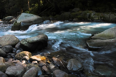 A flowing stream of clear water rushes over smooth, round rocks in a forested area. The water ripples and creates a dynamic pattern as it moves past the stones. Surrounding the stream, dense greenery and moss-covered rocks evoke a tranquil natural setting.
