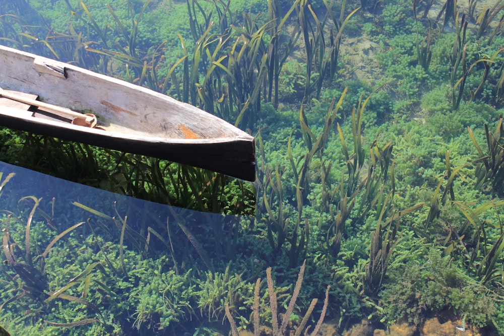 black wooden canoe on body of water