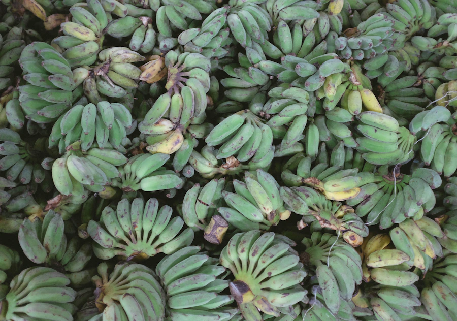 Plantains verts et produits frais
