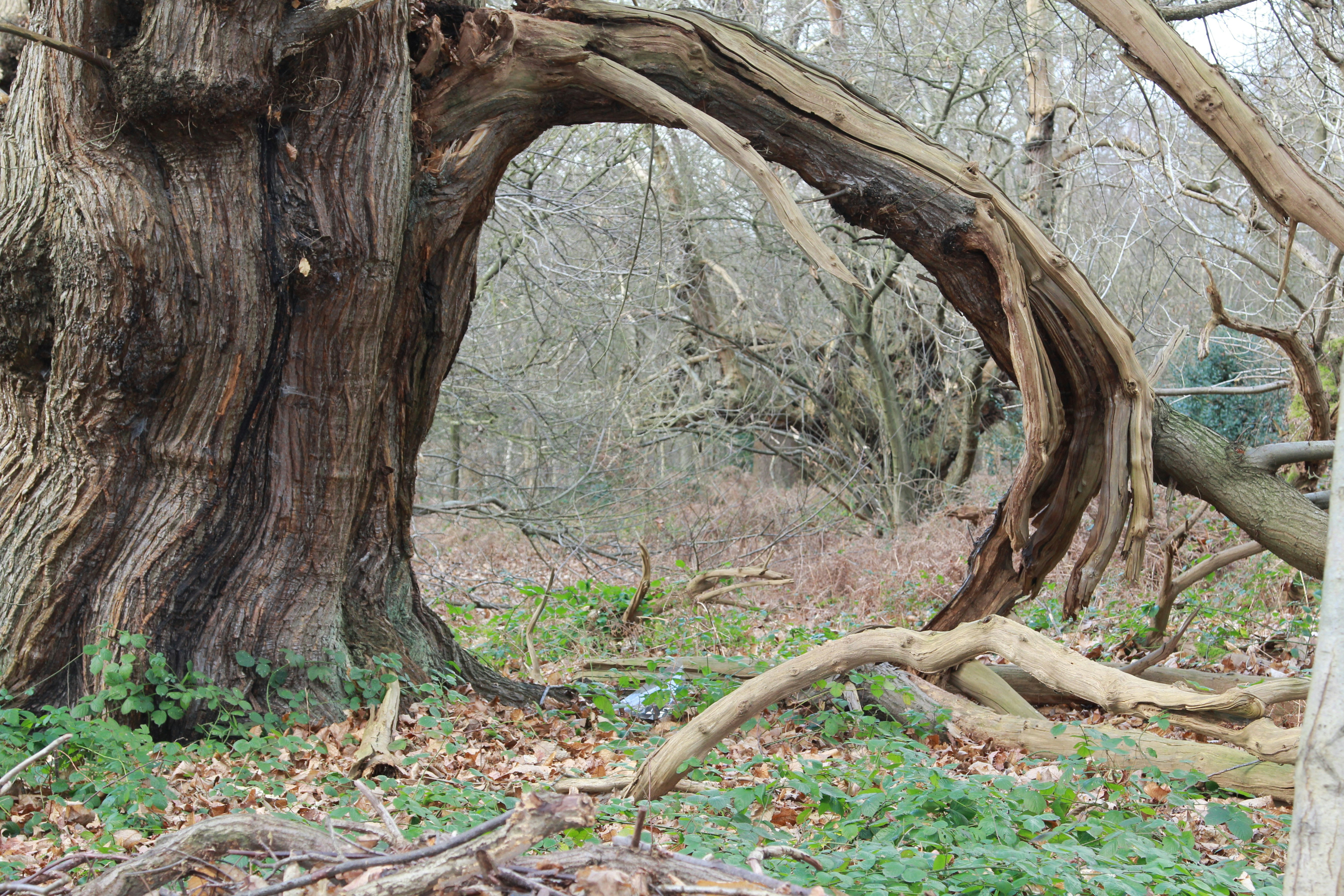 Free Unsplash photo from j l