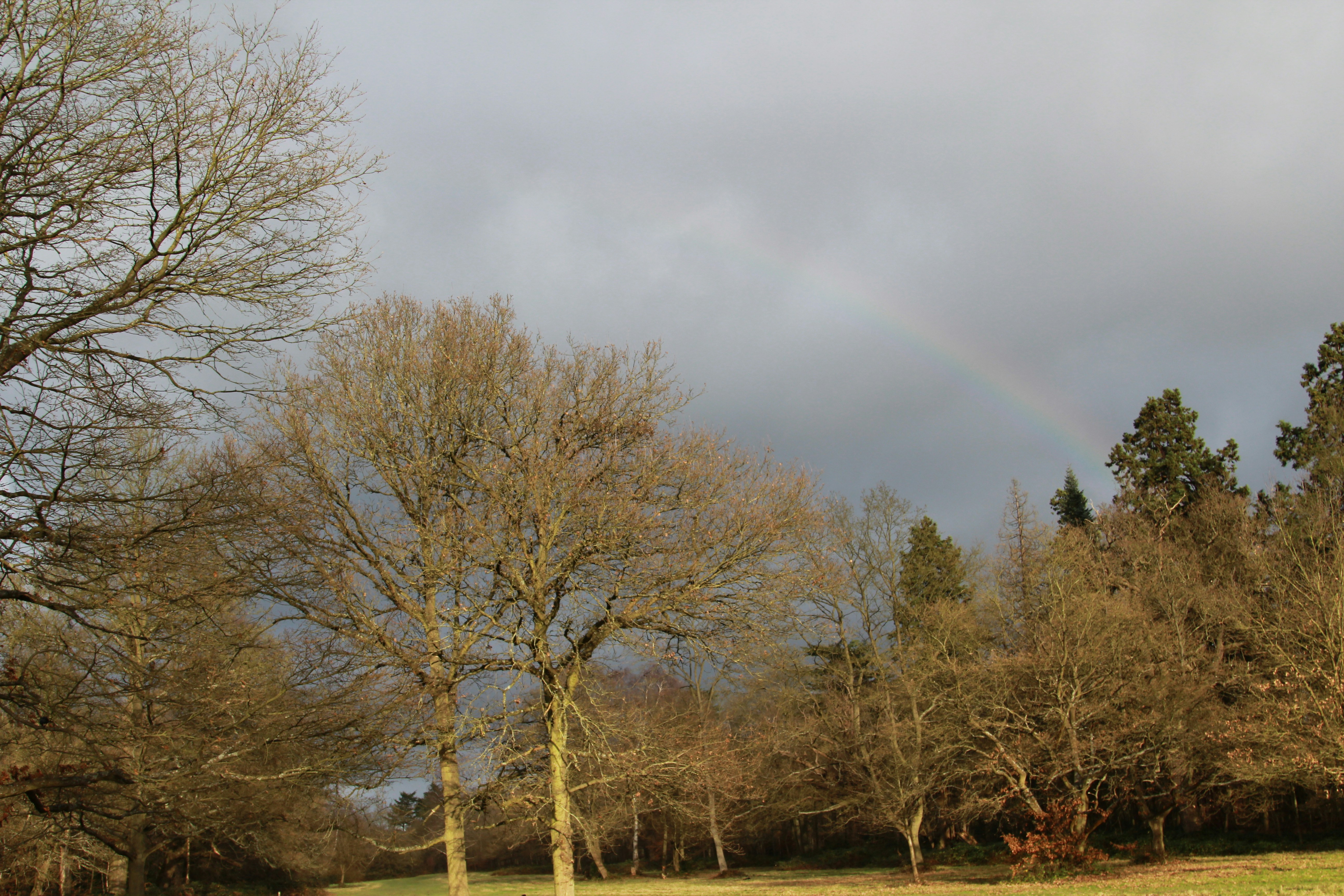 Free Unsplash photo from j l