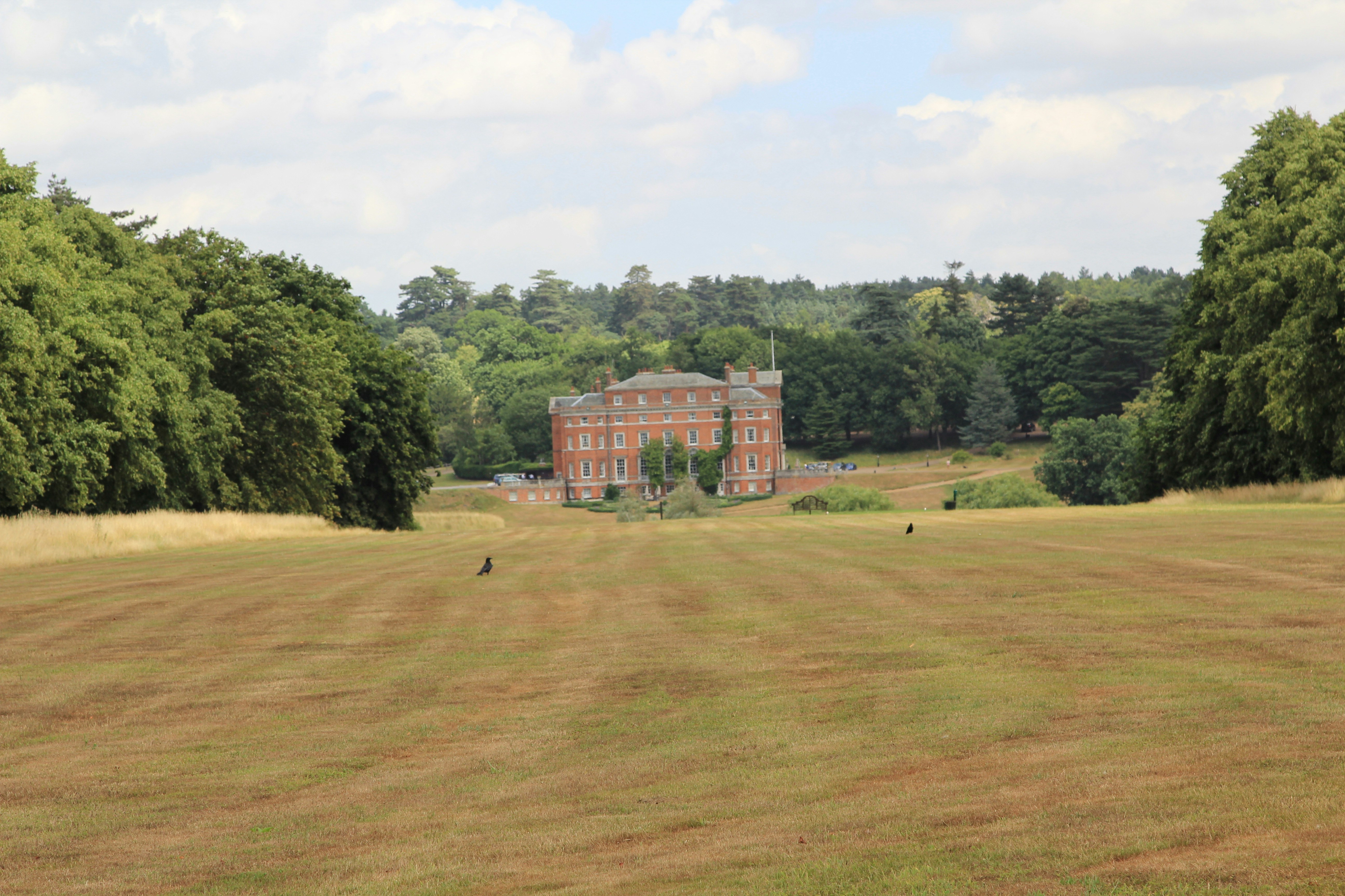 Free Unsplash photo from j l