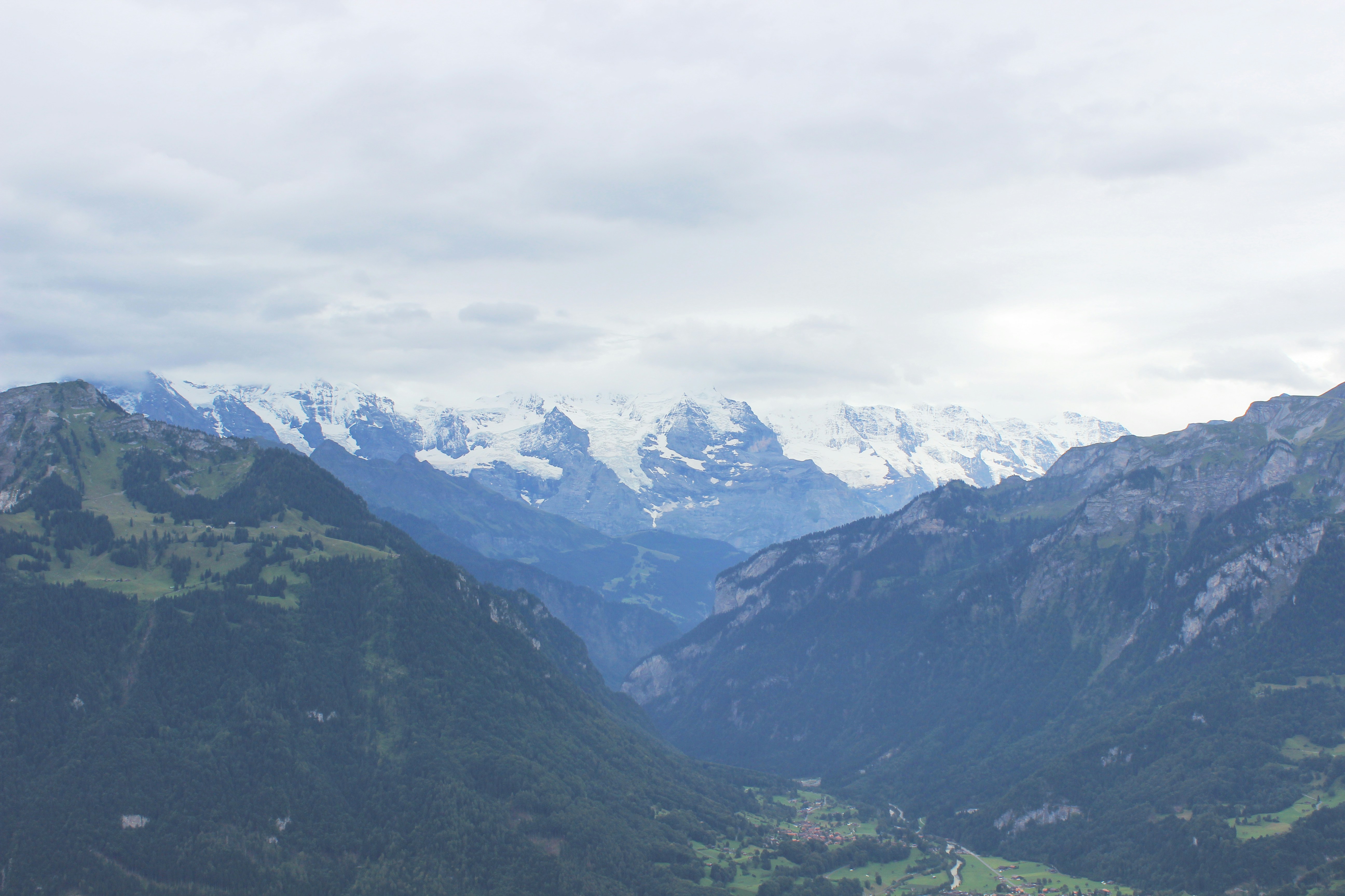 Free Unsplash photo from lewis pratt