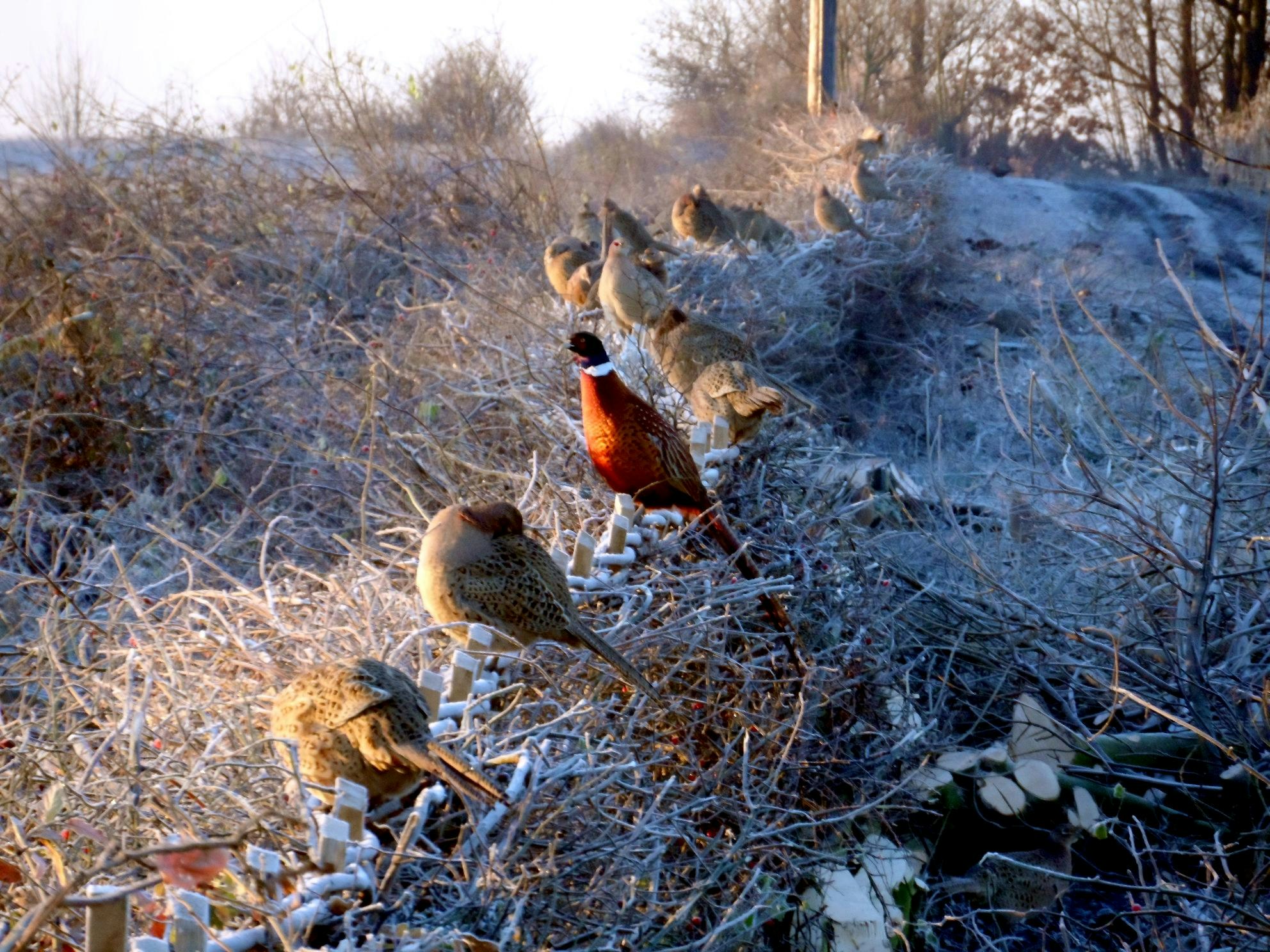 Free Unsplash photo from Philip Rowell