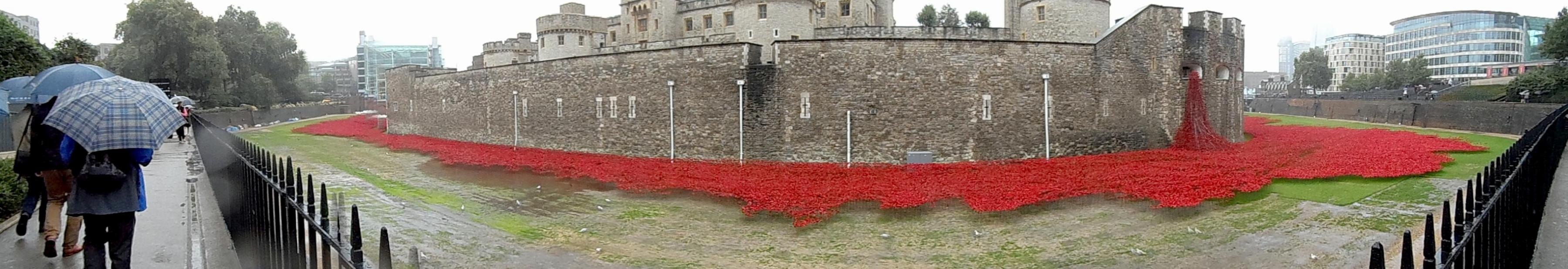 Free Unsplash photo from Philip Rowell