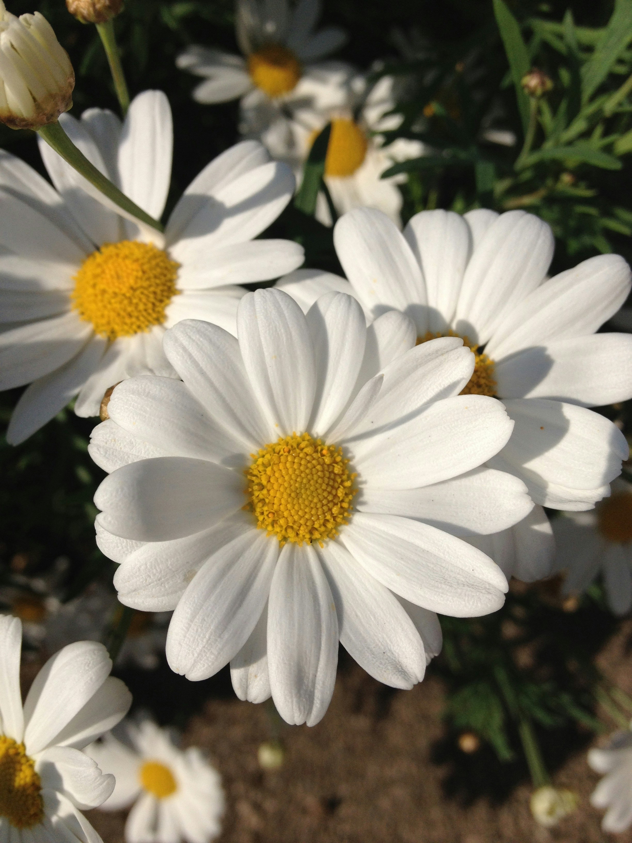 Free Unsplash photo from Nicola  Bradley