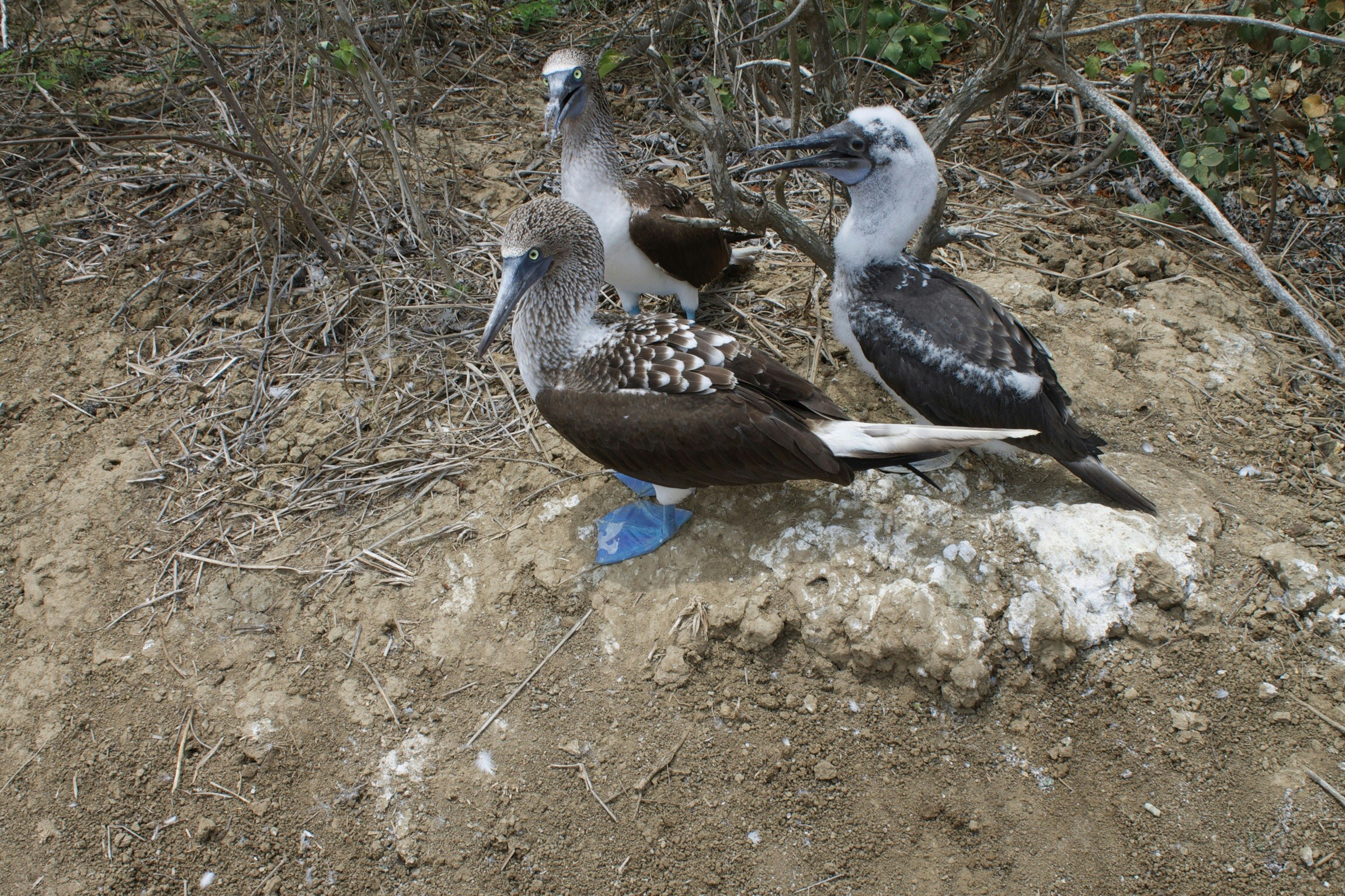 Free Unsplash photo from Melody Sherrid