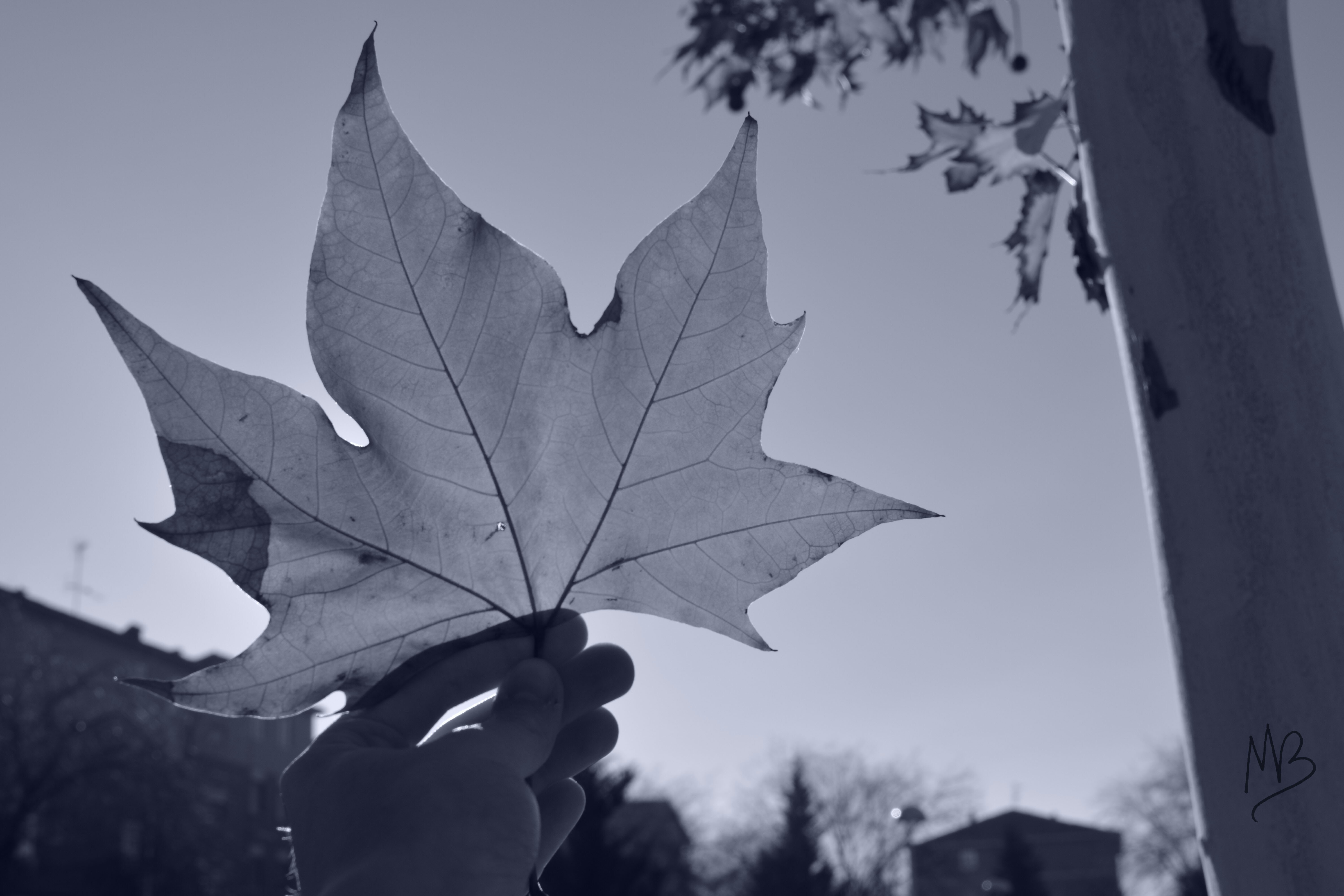 Free Unsplash photo from Marta Blanco