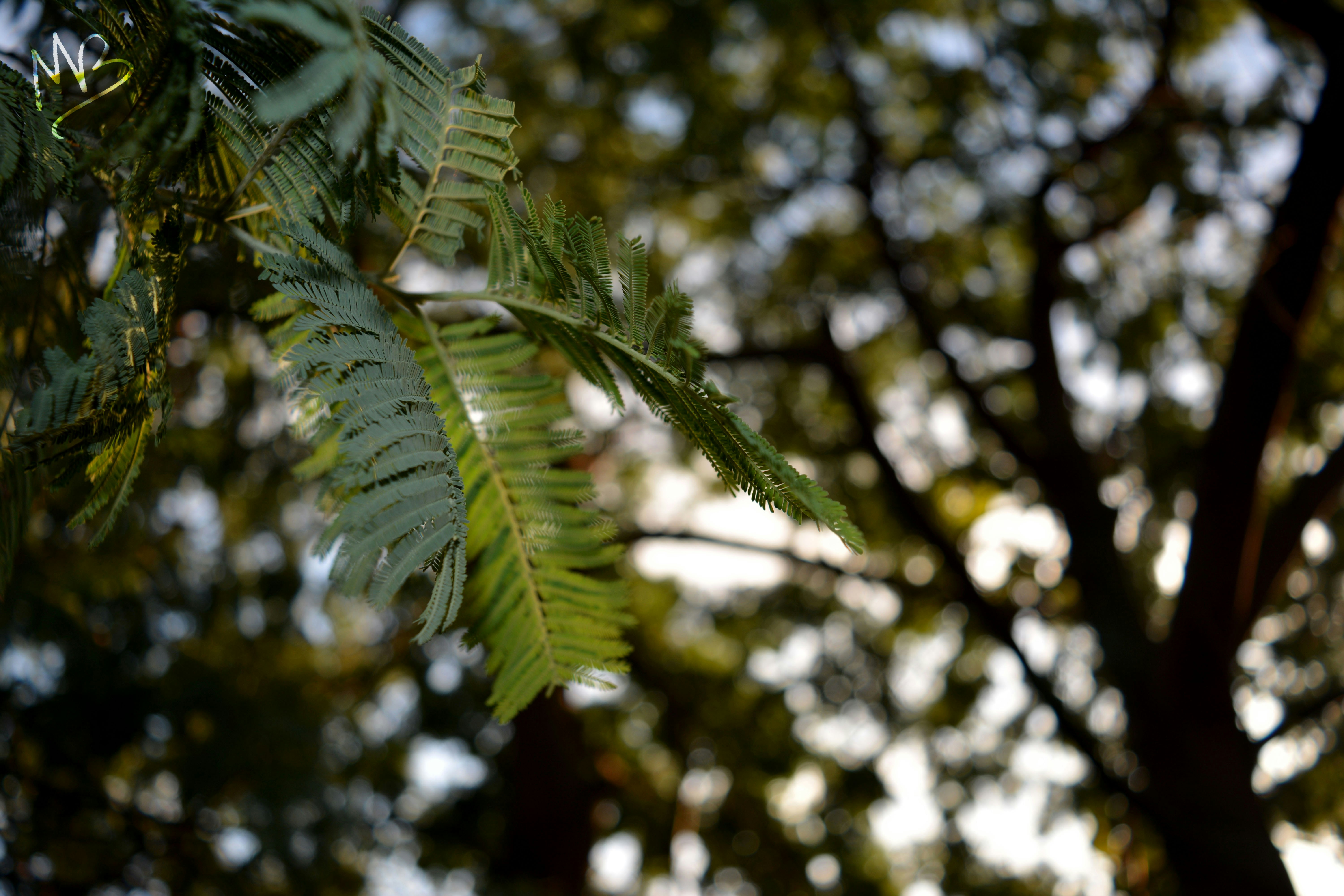 Free Unsplash photo from Marta Blanco