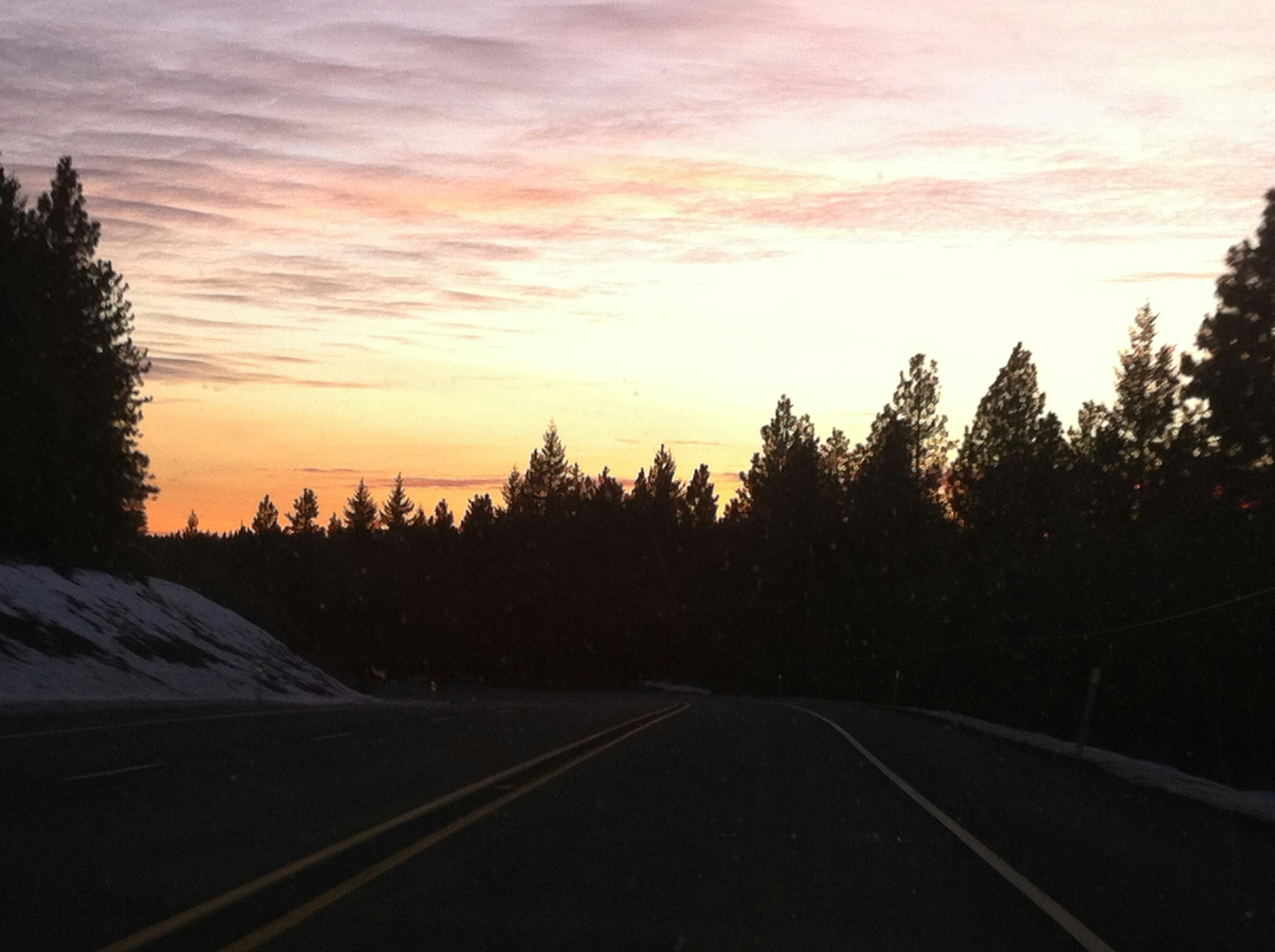 Free Unsplash photo from Adam Wood