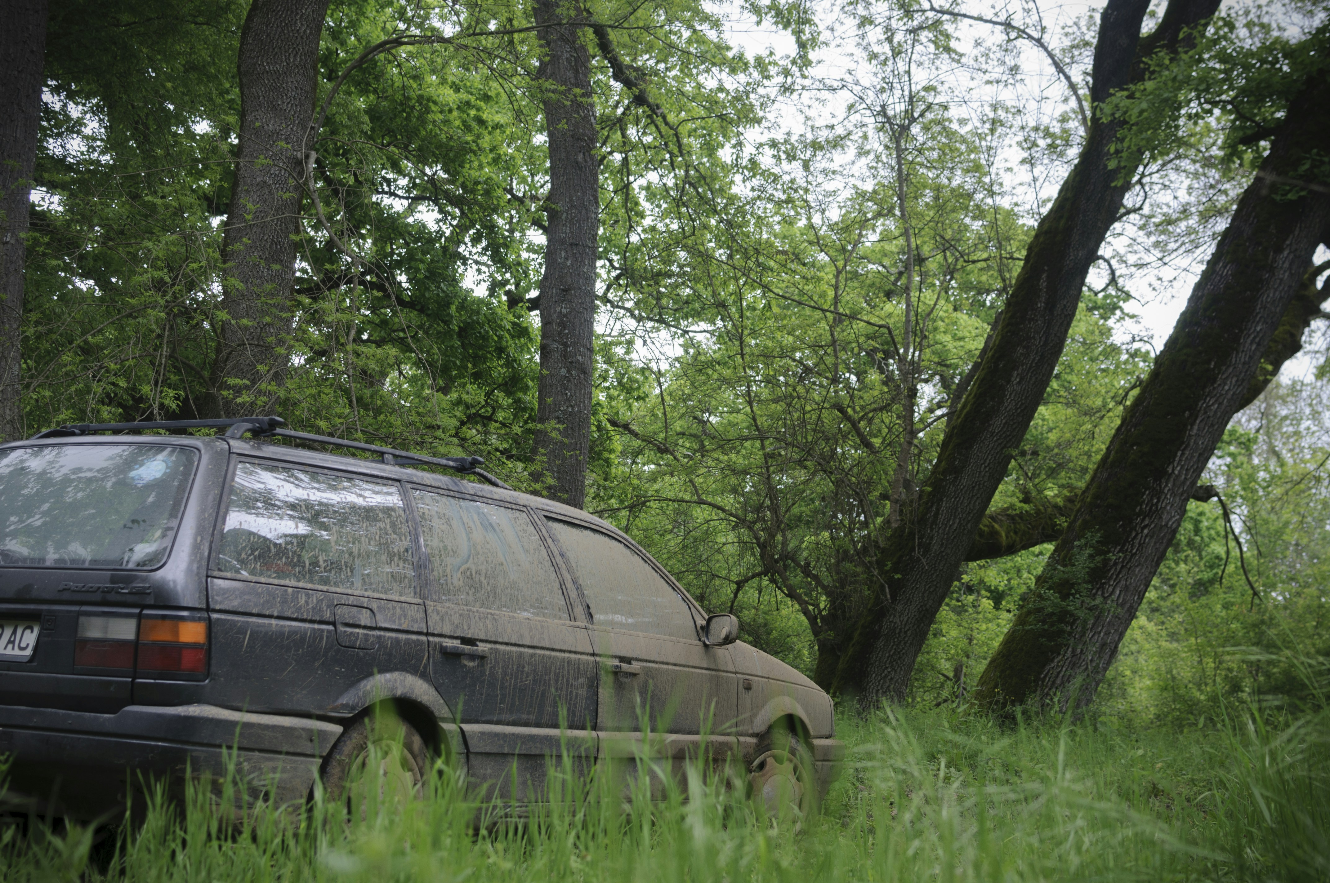 Free Unsplash photo from Marin Nikolov