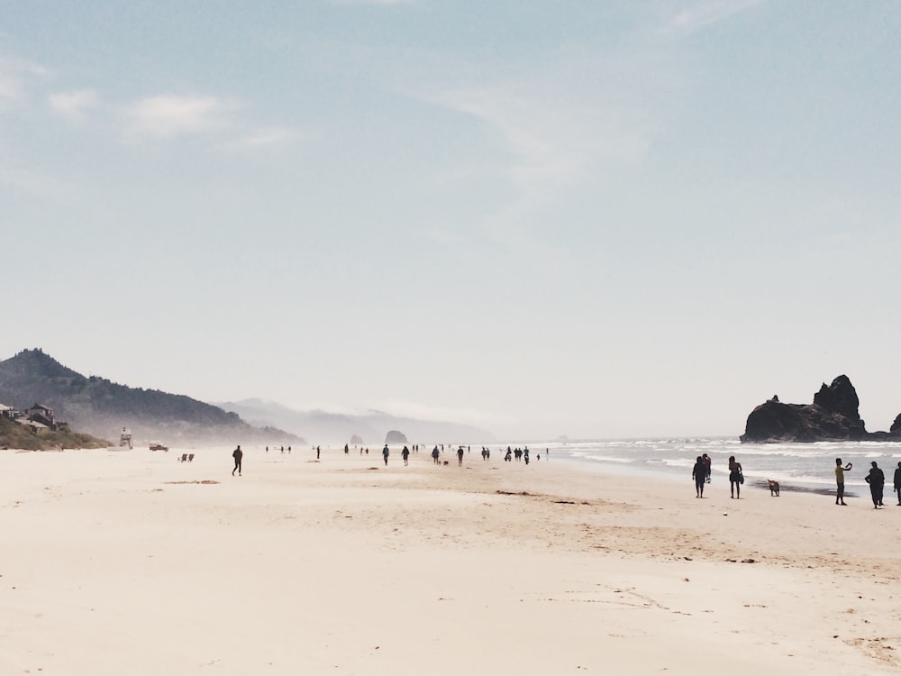 Silhouette von Menschen, die tagsüber am Strandufer spazieren gehen