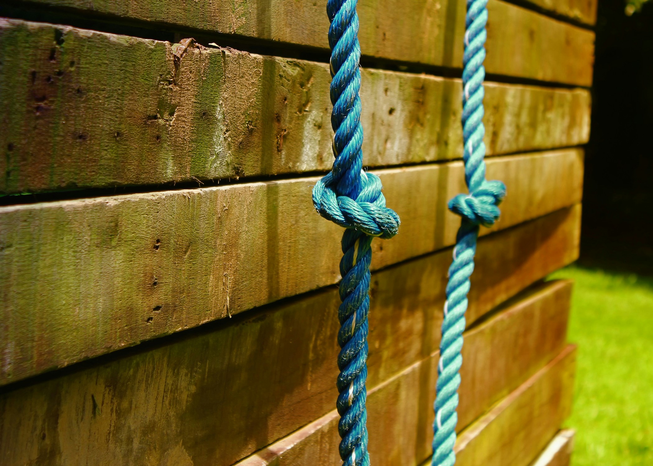 Free Unsplash photo from William Louie Yu