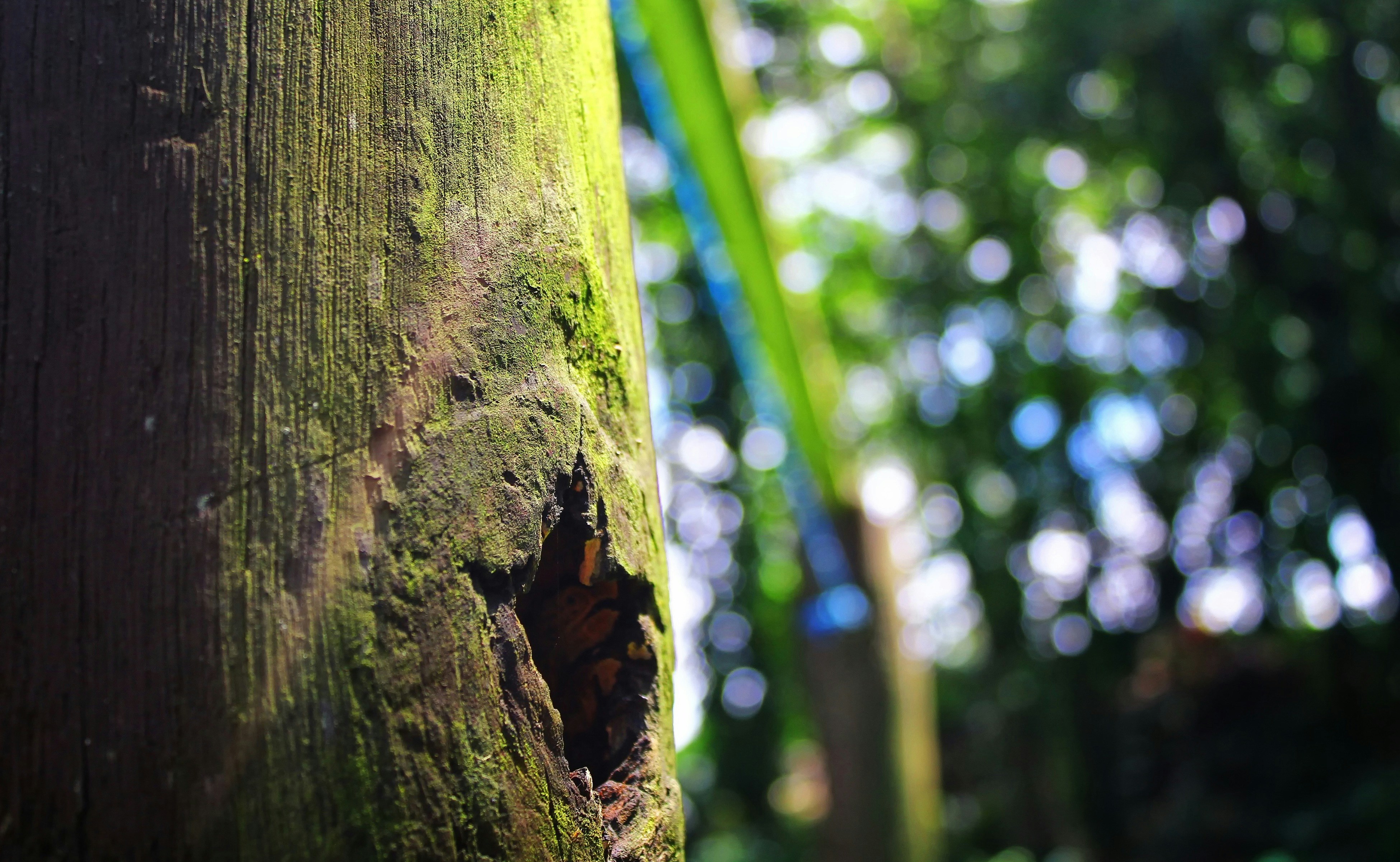 Free Unsplash photo from William Louie Yu