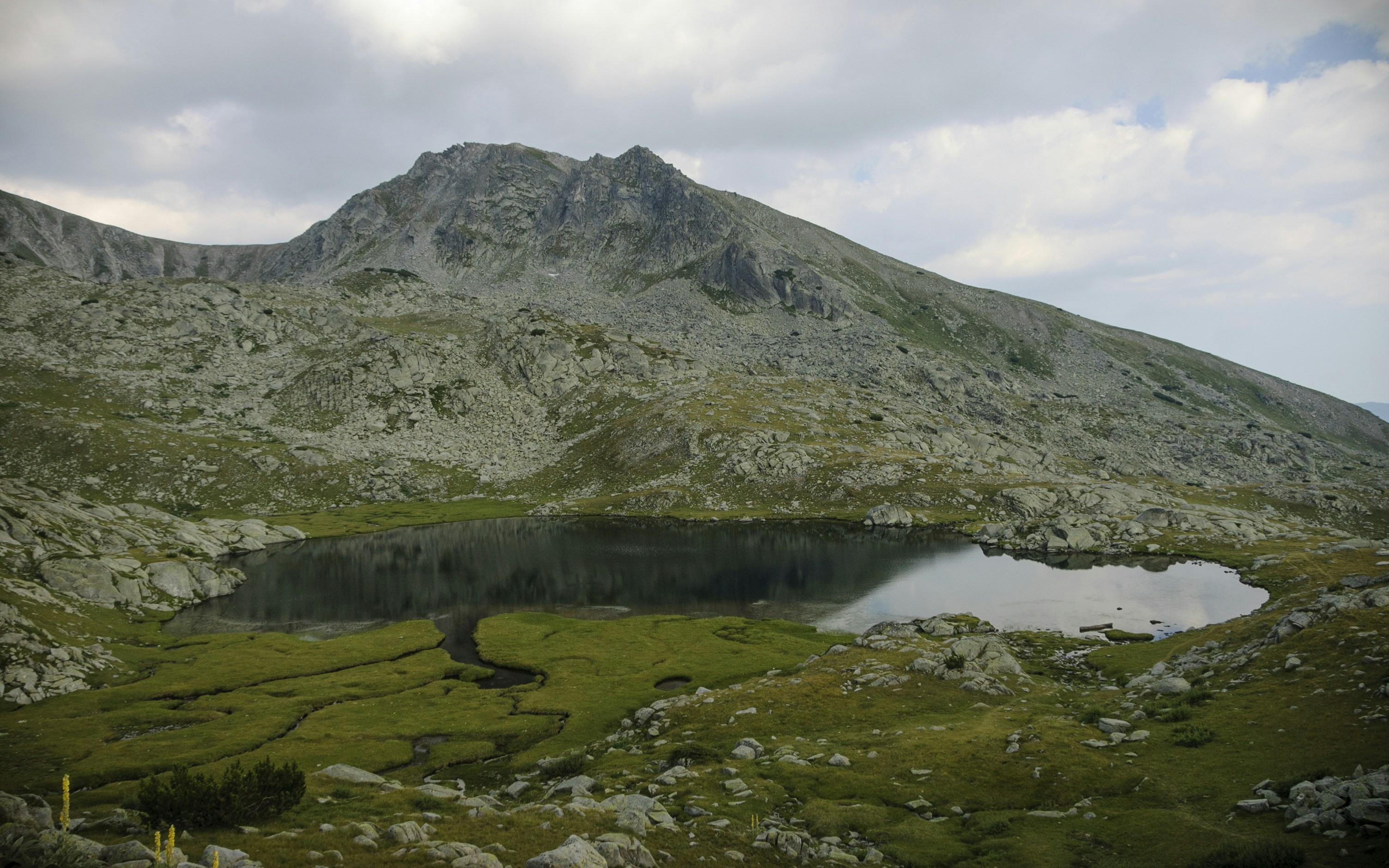 Free Unsplash photo from Marin Nikolov