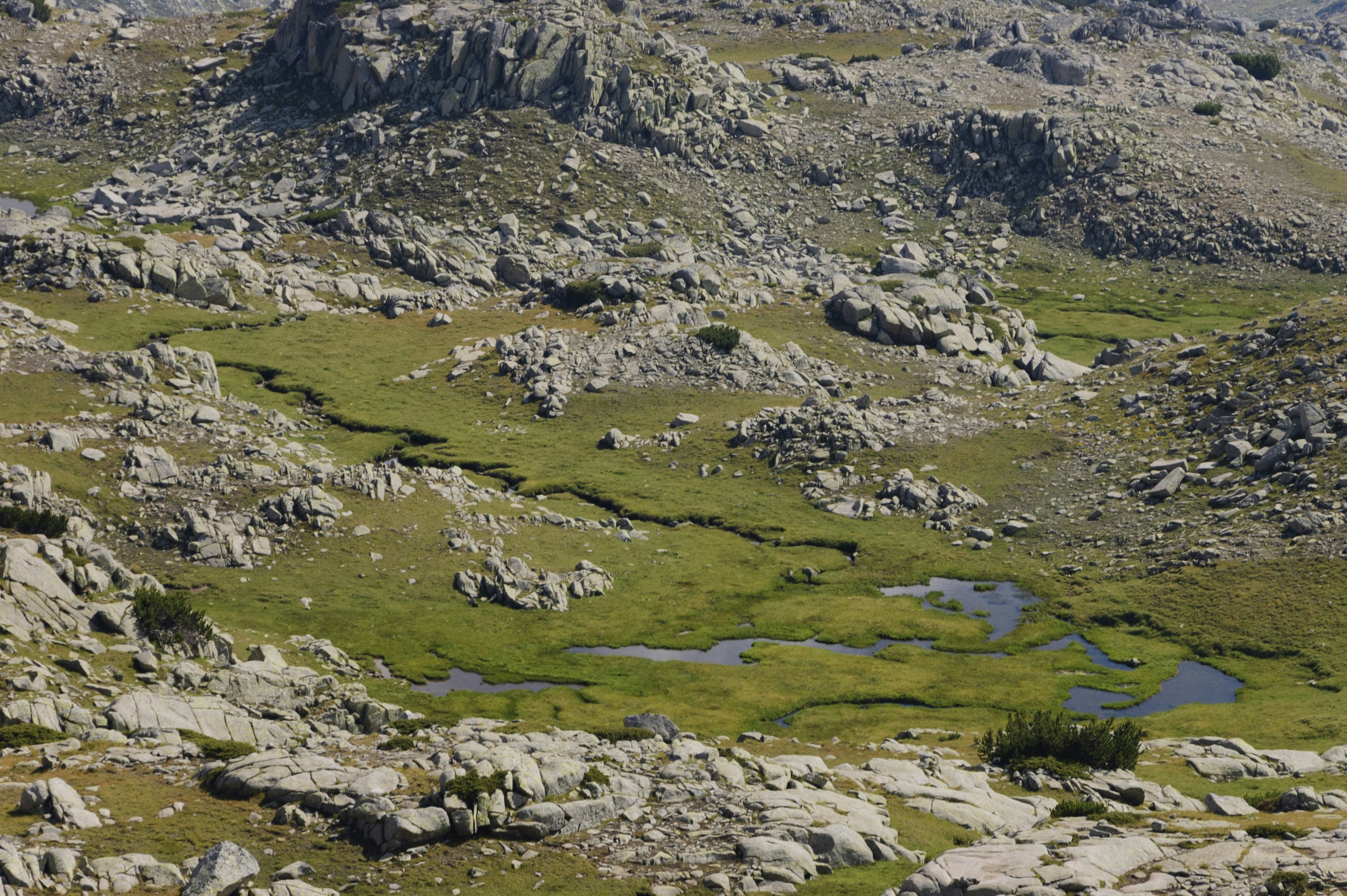 Free Unsplash photo from Marin Nikolov