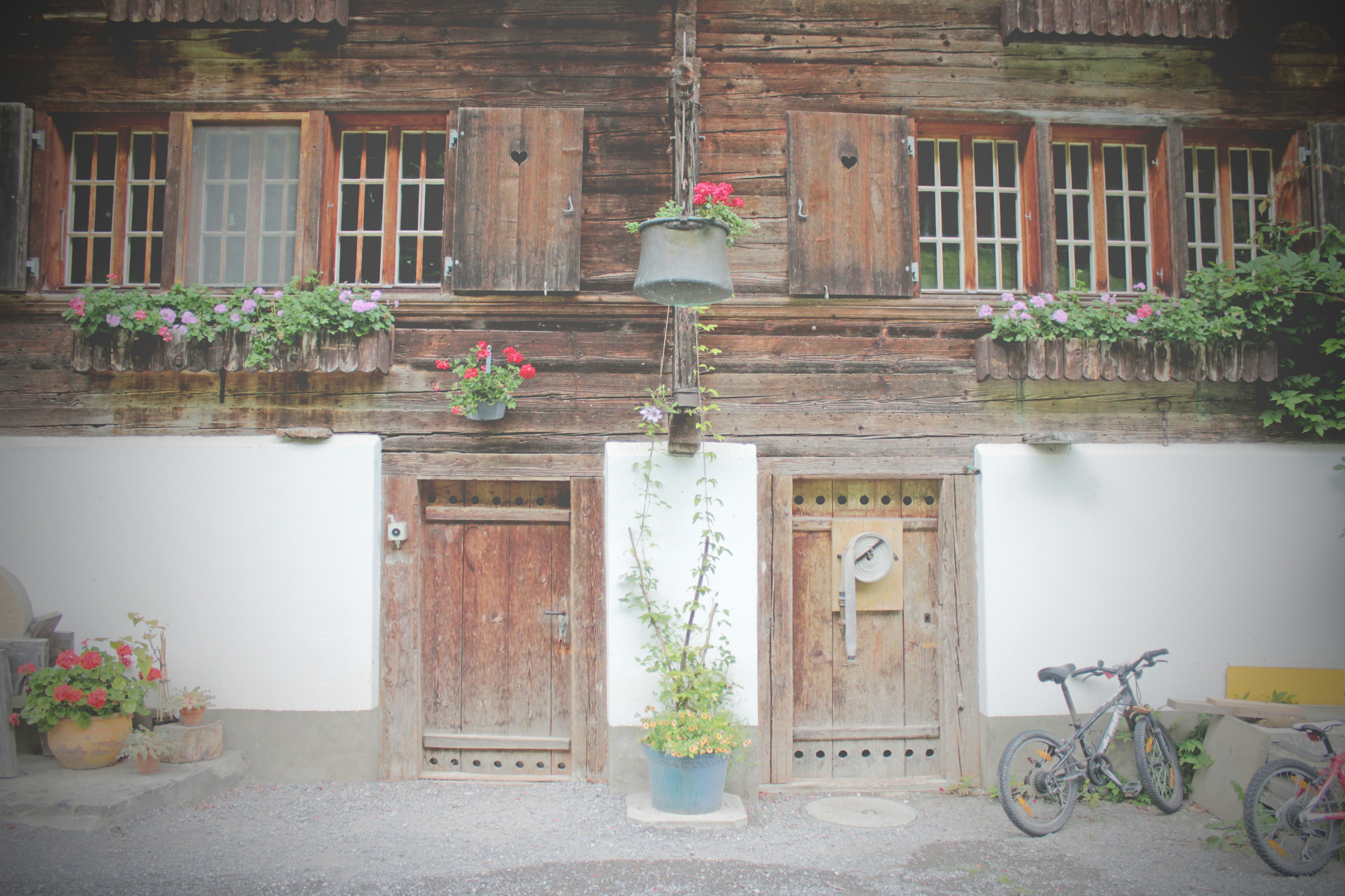 Free Unsplash photo from lewis pratt