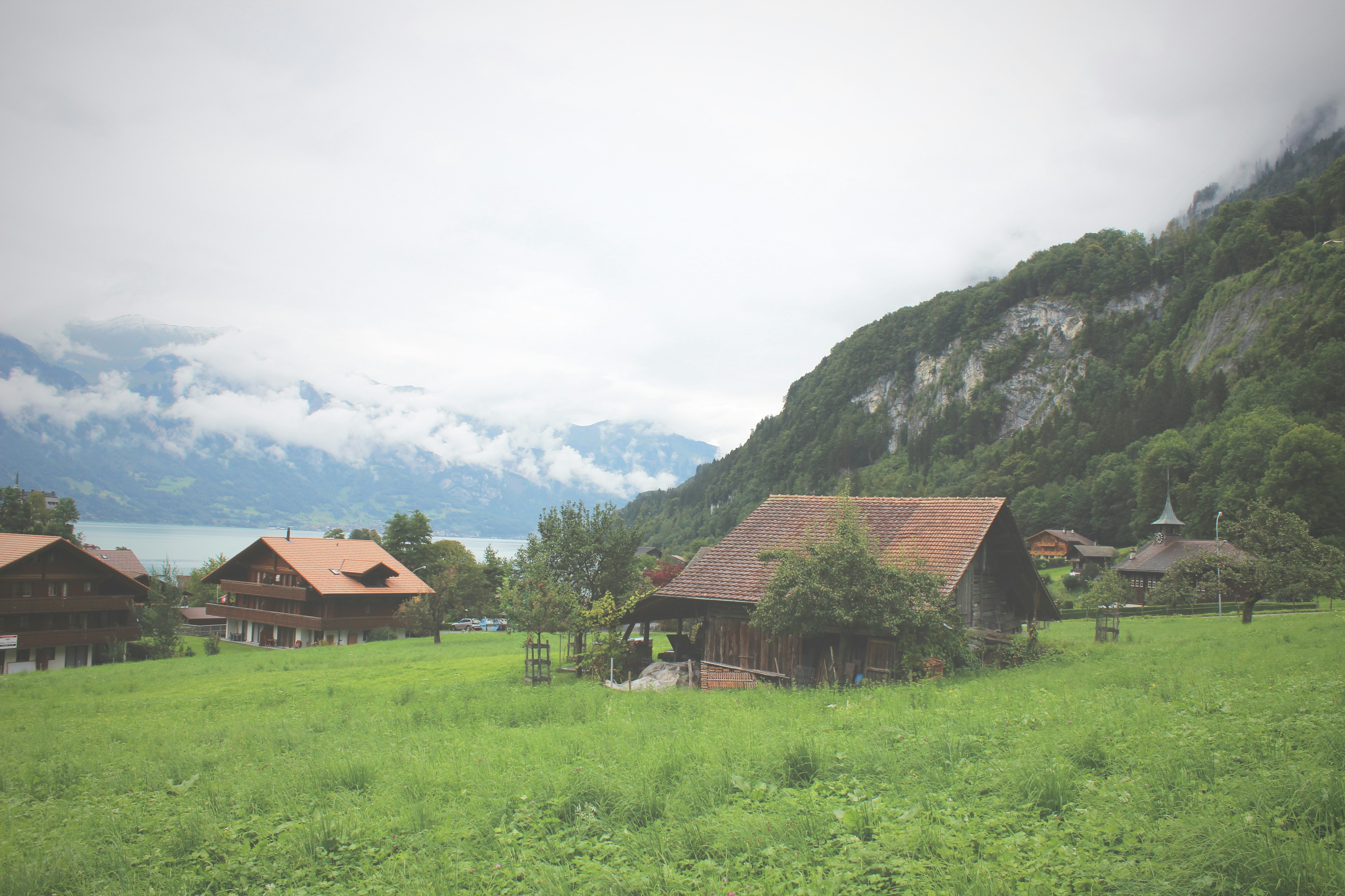 Free Unsplash photo from lewis pratt