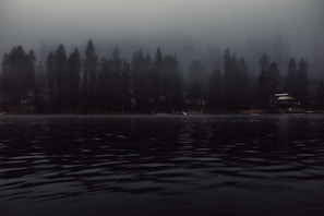 A mist-covered lake at night with ghostly lights hovering above the water