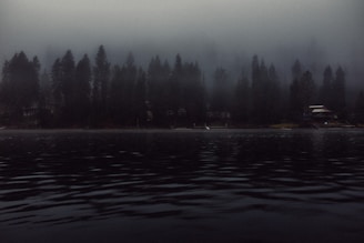 A mist-covered lake at night with ghostly lights hovering above the water