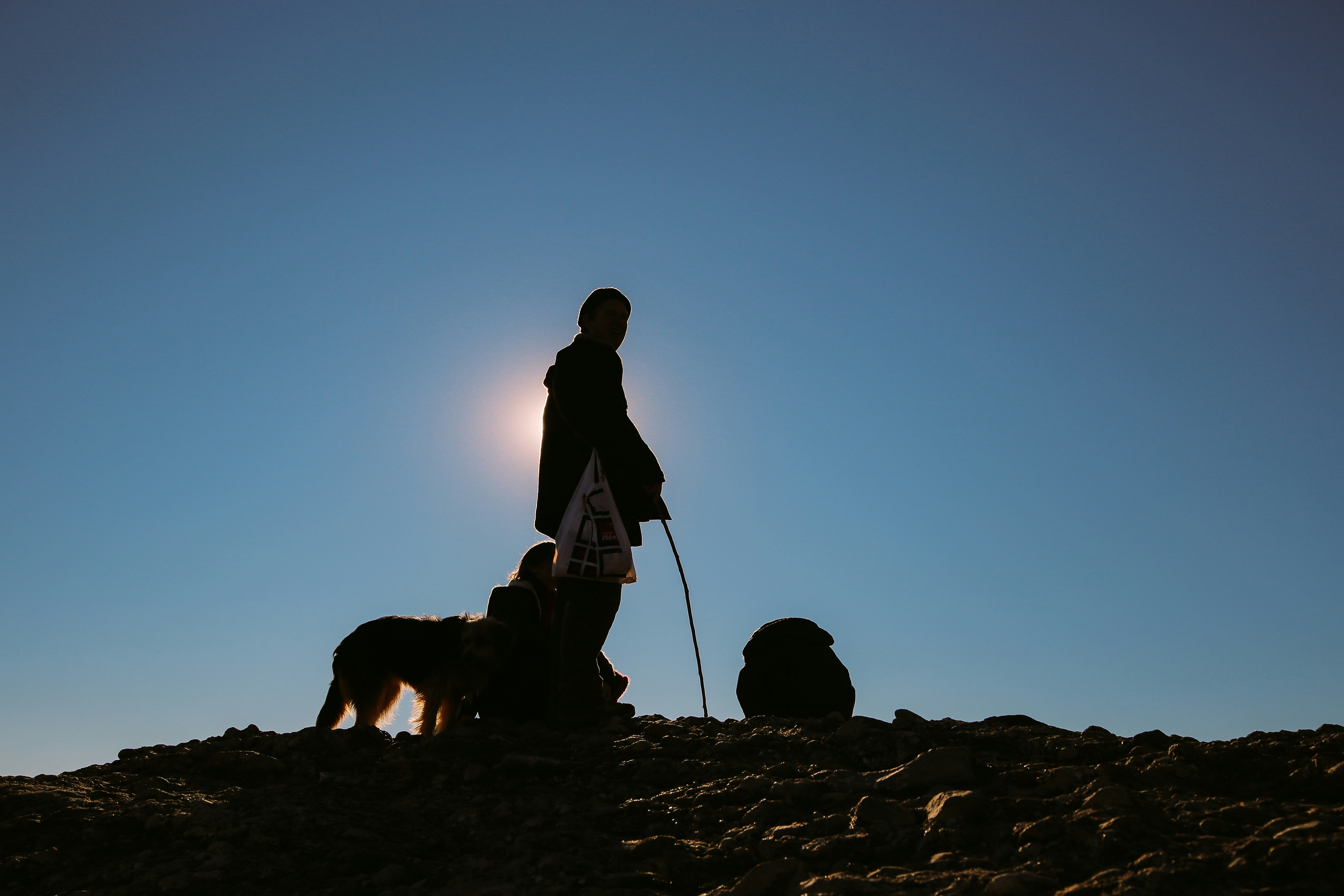 Free Unsplash photo from Orlando Marty