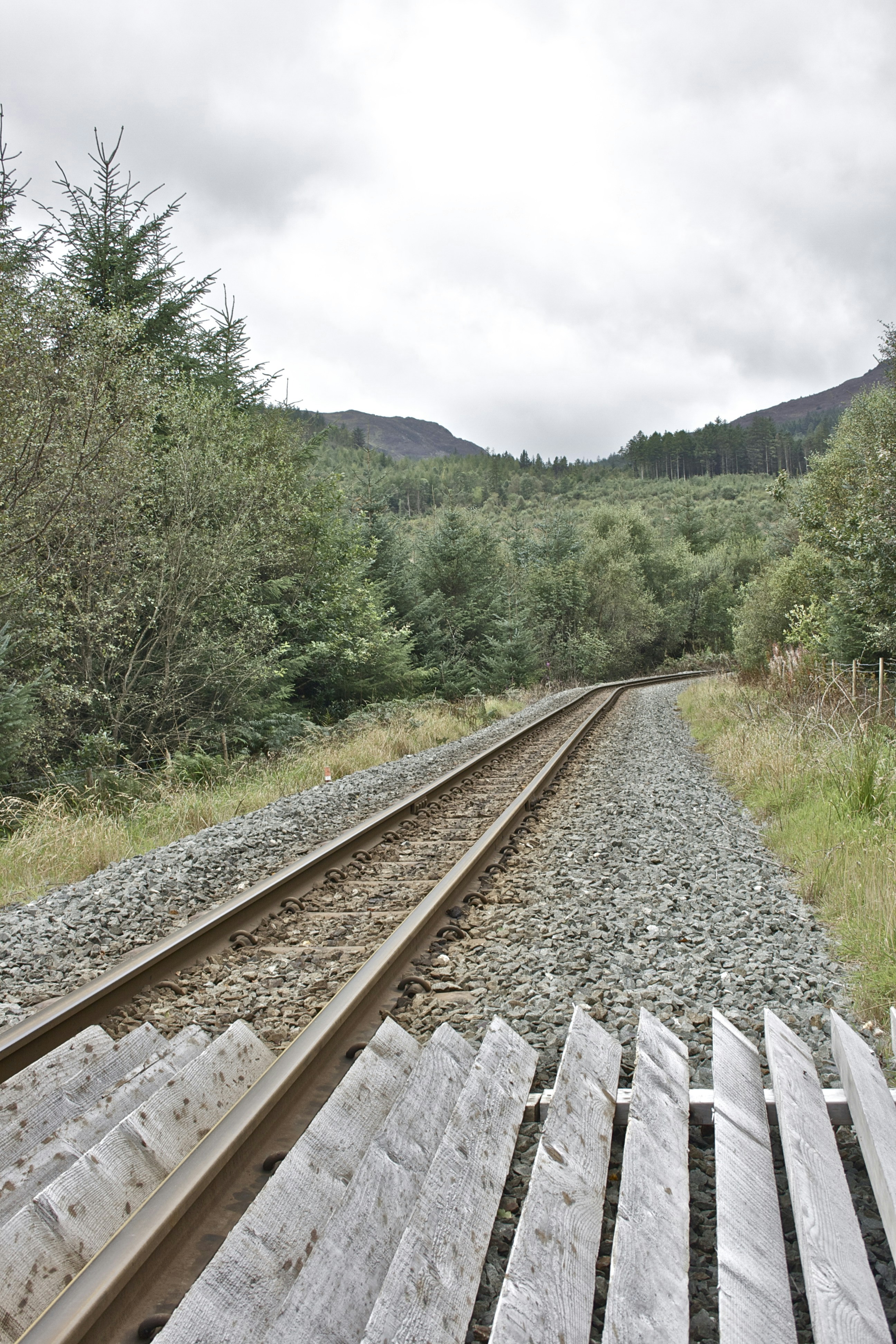 Free Unsplash photo from lewis pratt