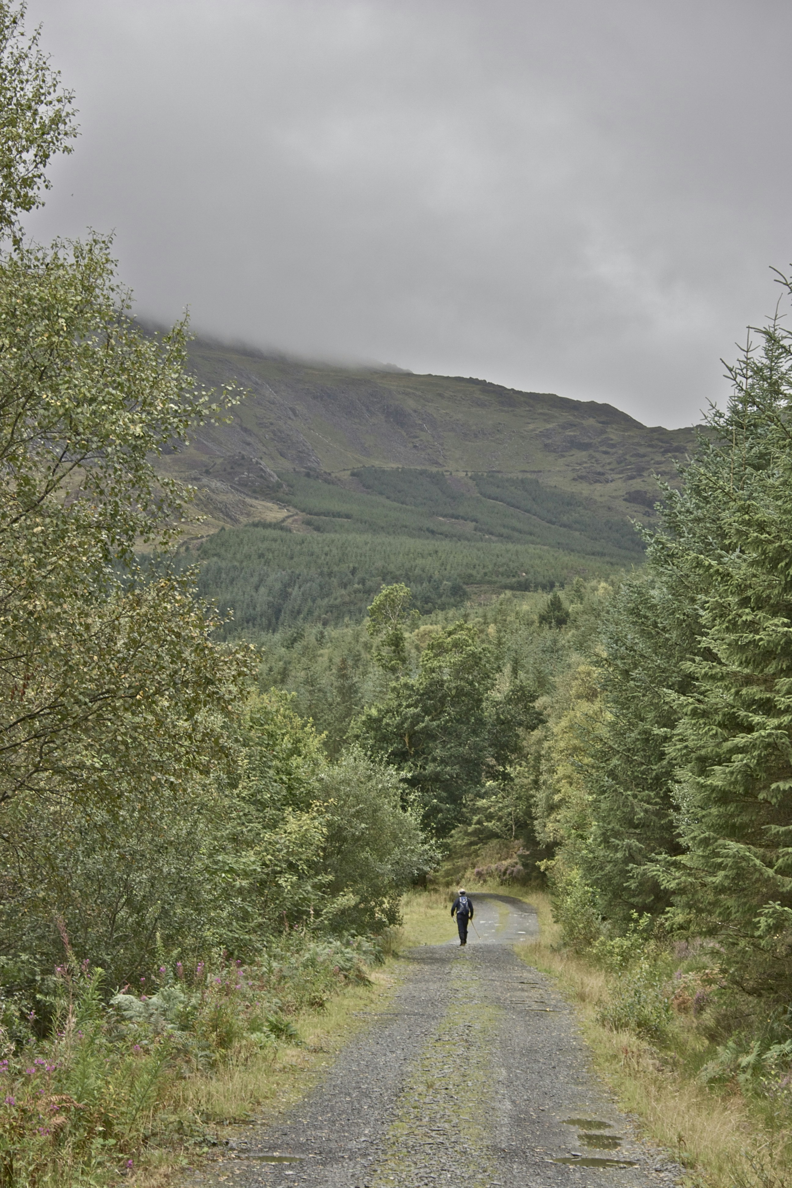 Free Unsplash photo from lewis pratt