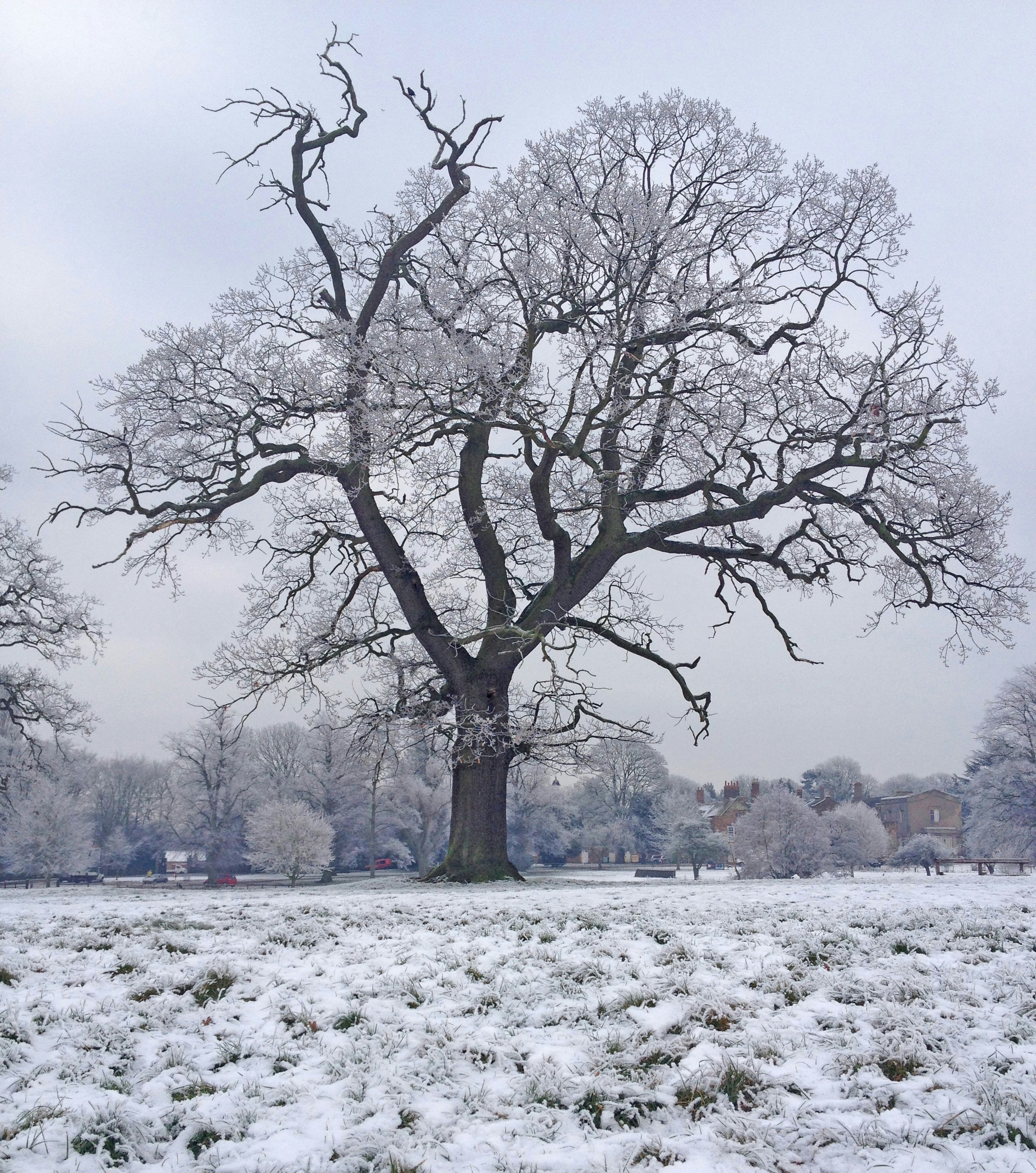 Free Unsplash photo from lewis pratt