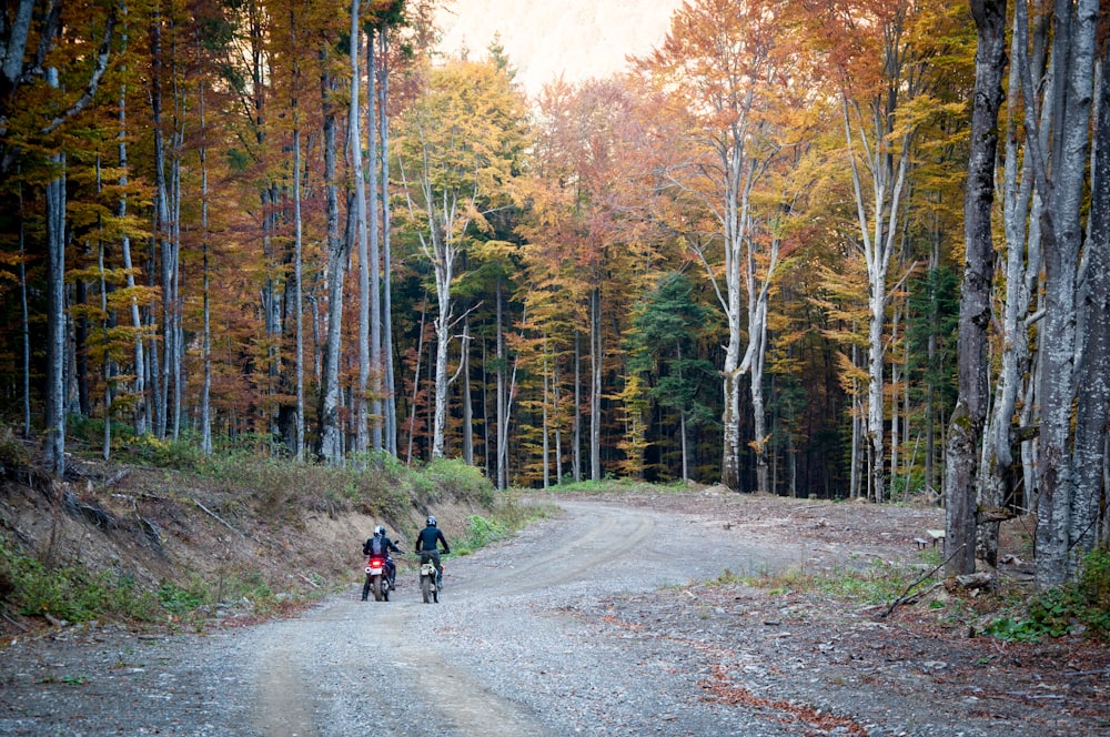 two people riding motorcycles surrounded by trees