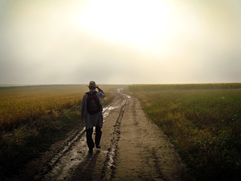 man walking in rice field