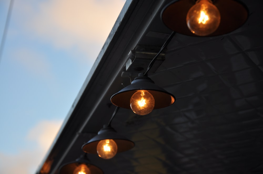 orange lighted bulbs under roof