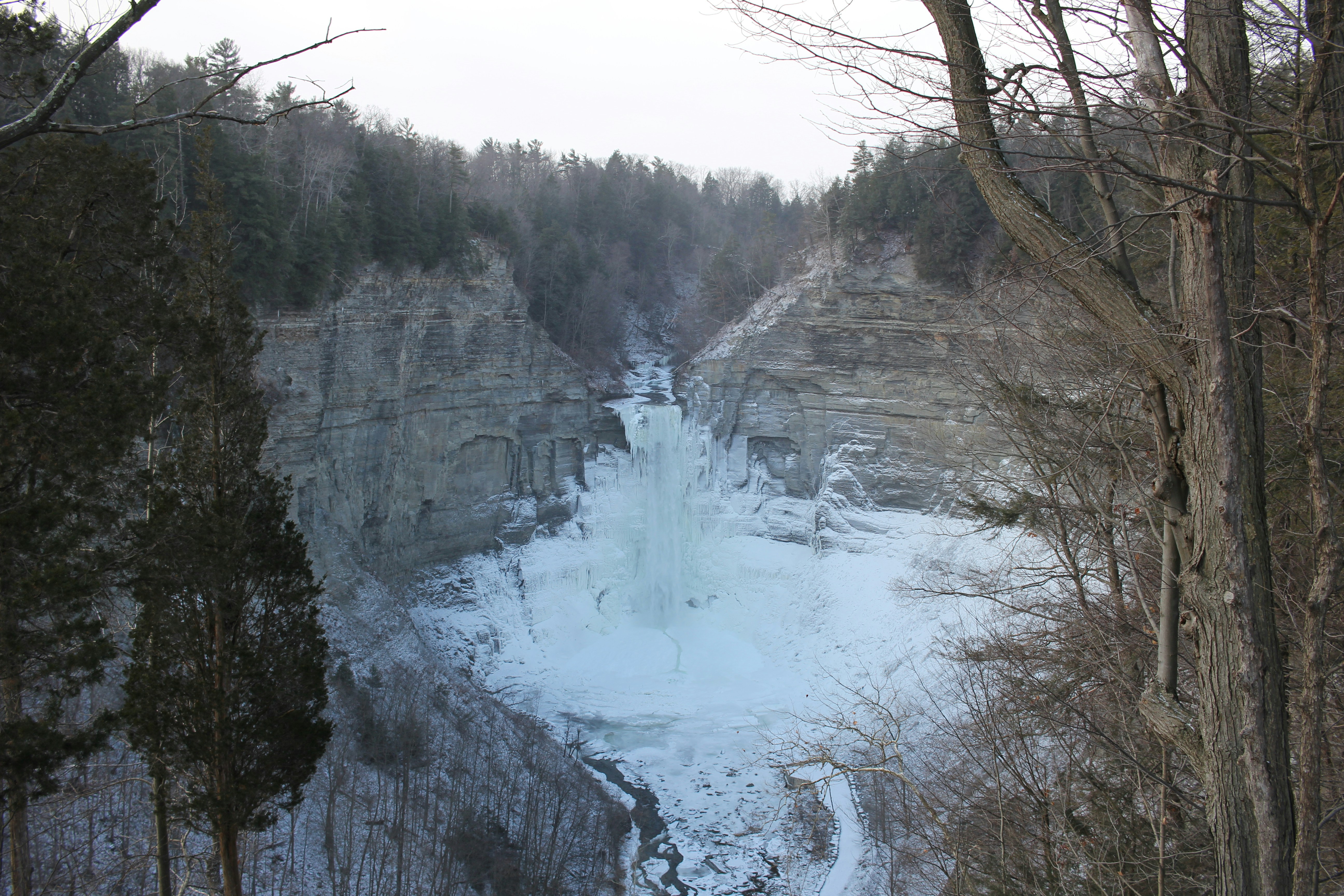 Free Unsplash photo from Bob Simon