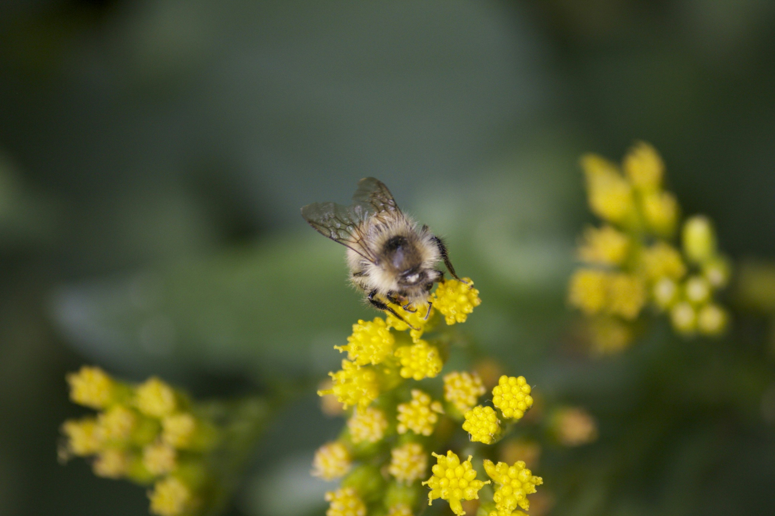 Free Unsplash photo from Tyler Smith