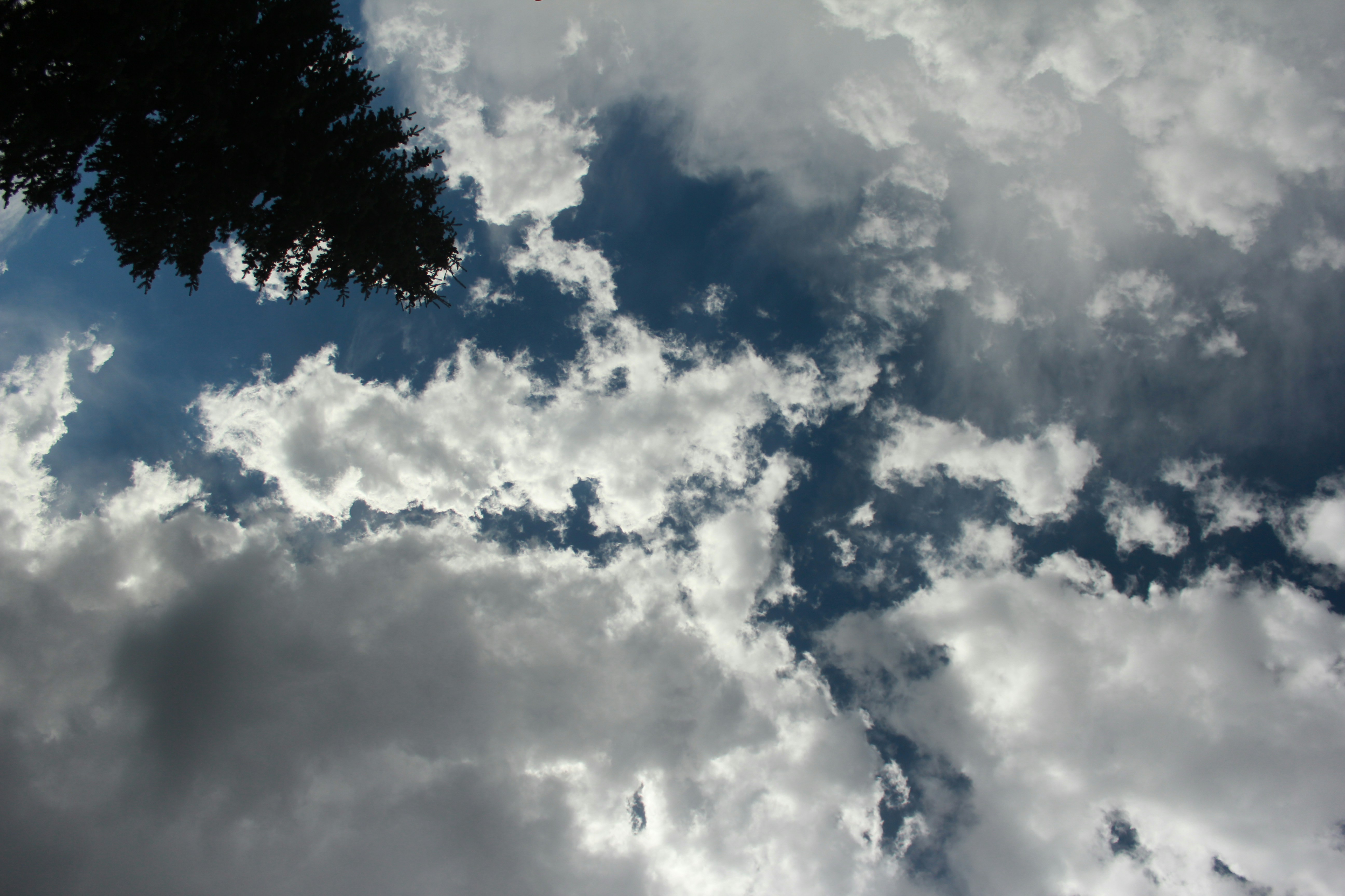 Free Unsplash photo from Tyler Smith