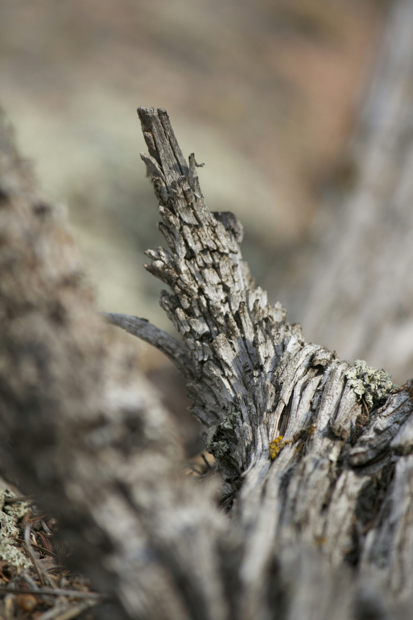 Free Unsplash photo from Tyler Smith