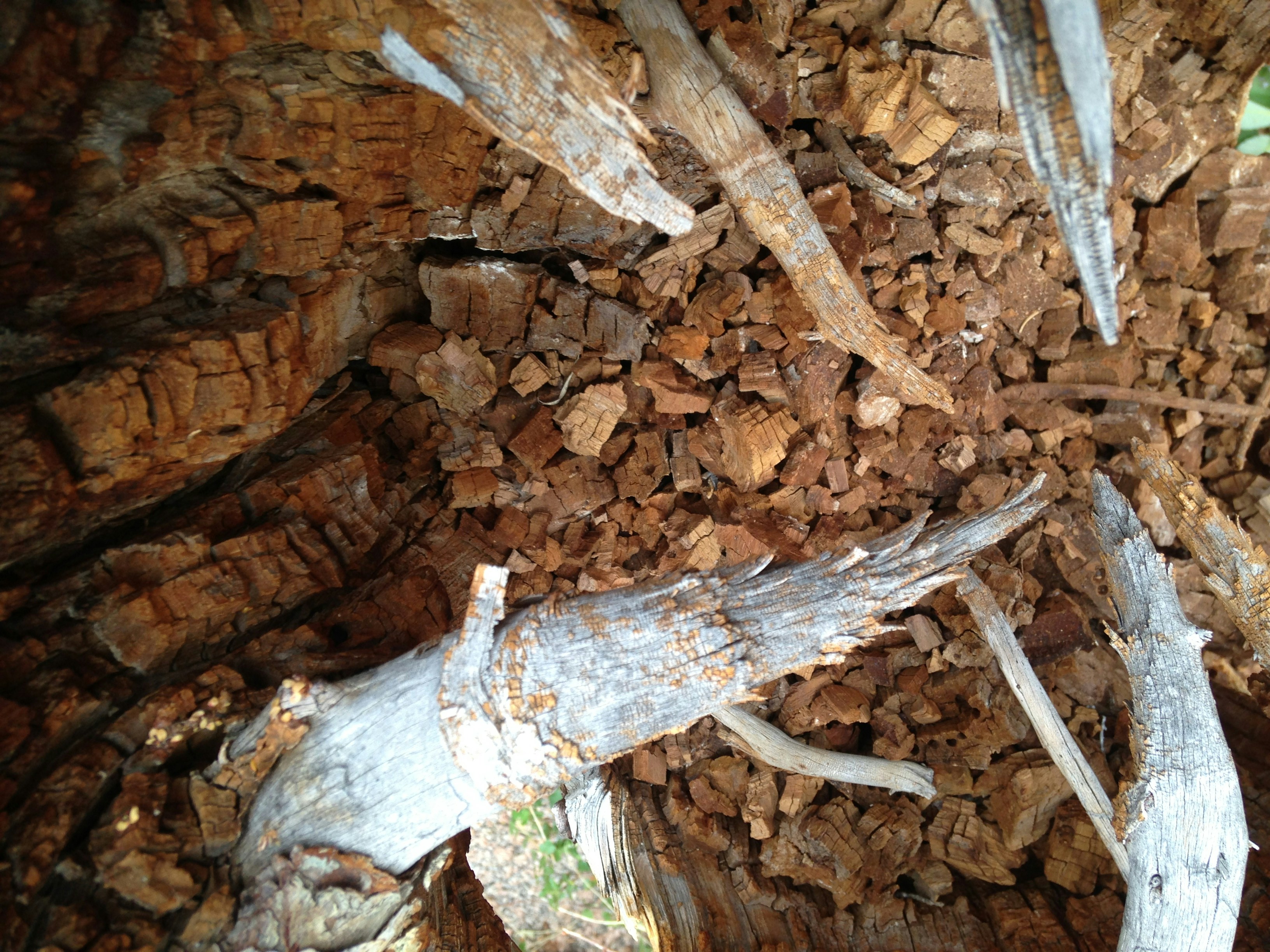 Free Unsplash photo from Tyler Smith