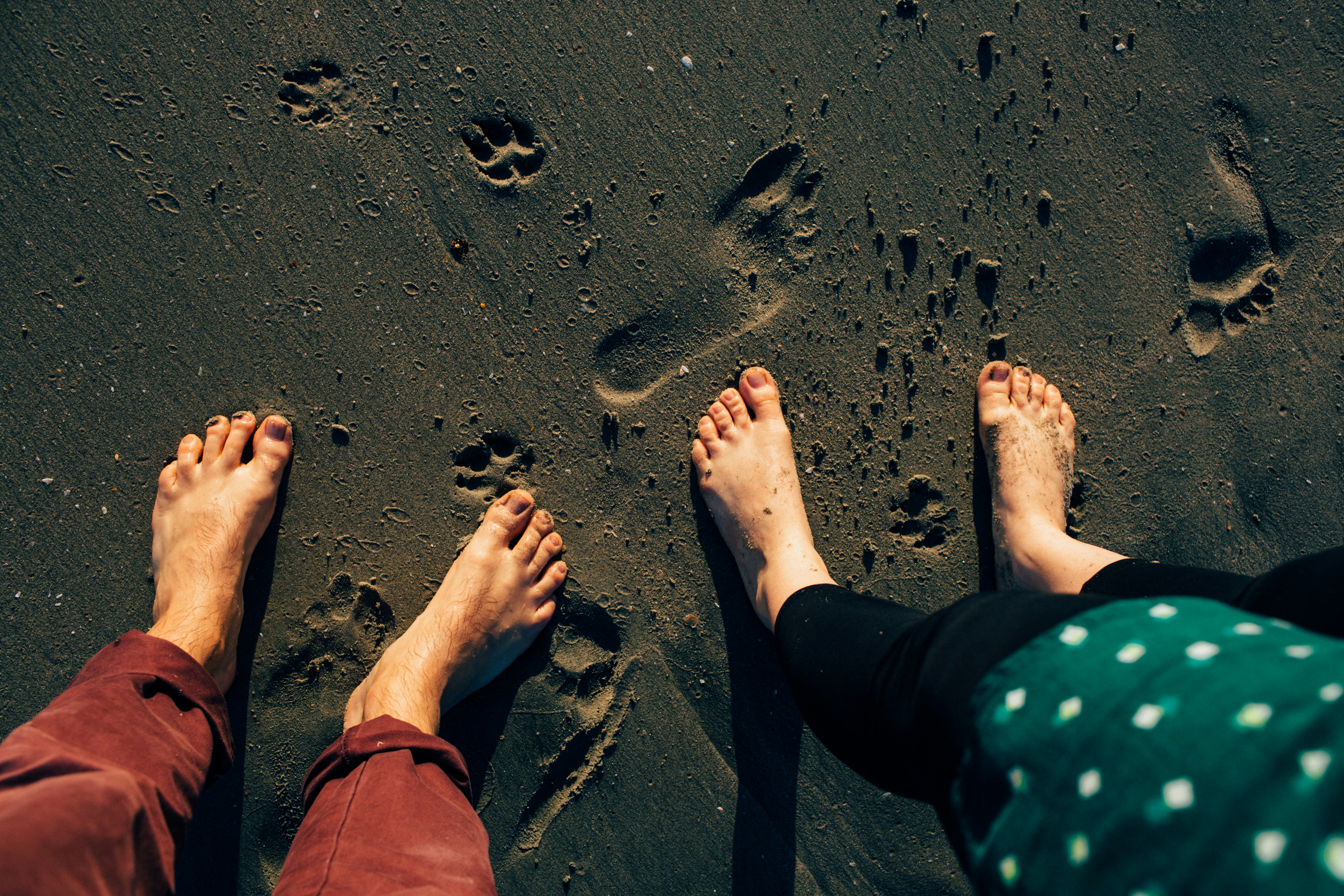 Free Unsplash photo from Dan Cumberland