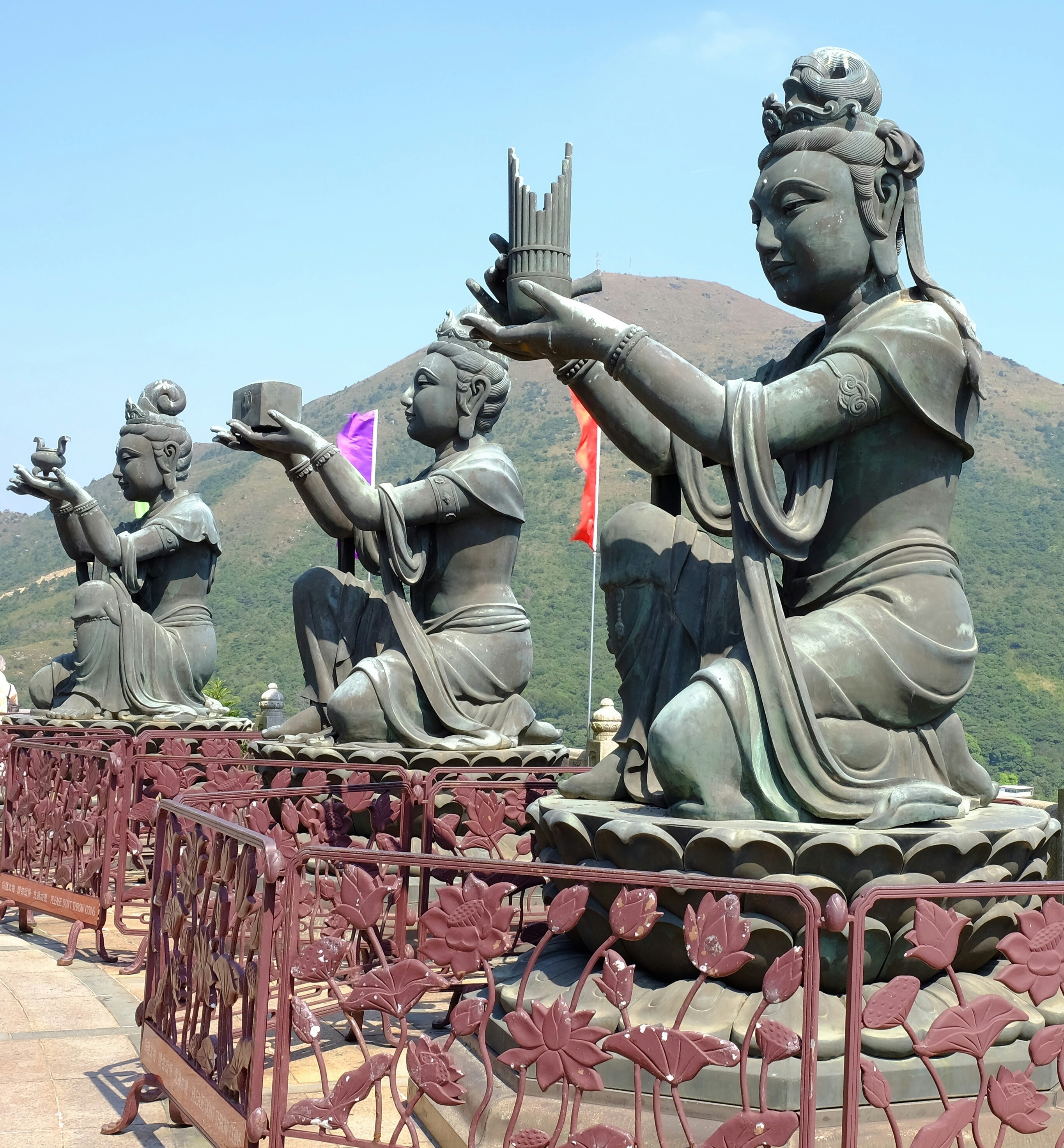 Free Unsplash photo from Marv Ferg